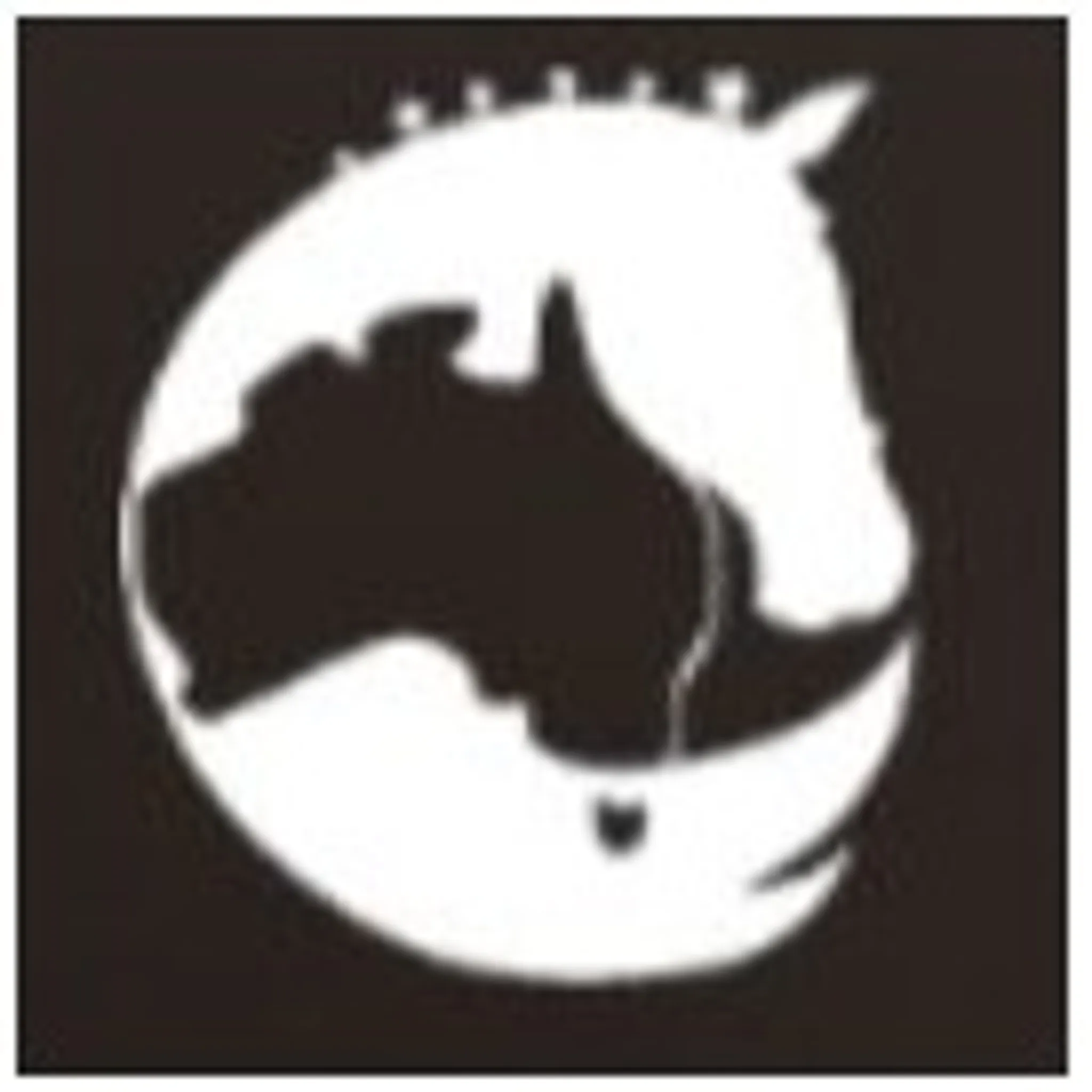 Dressage Australia Pty Ltd