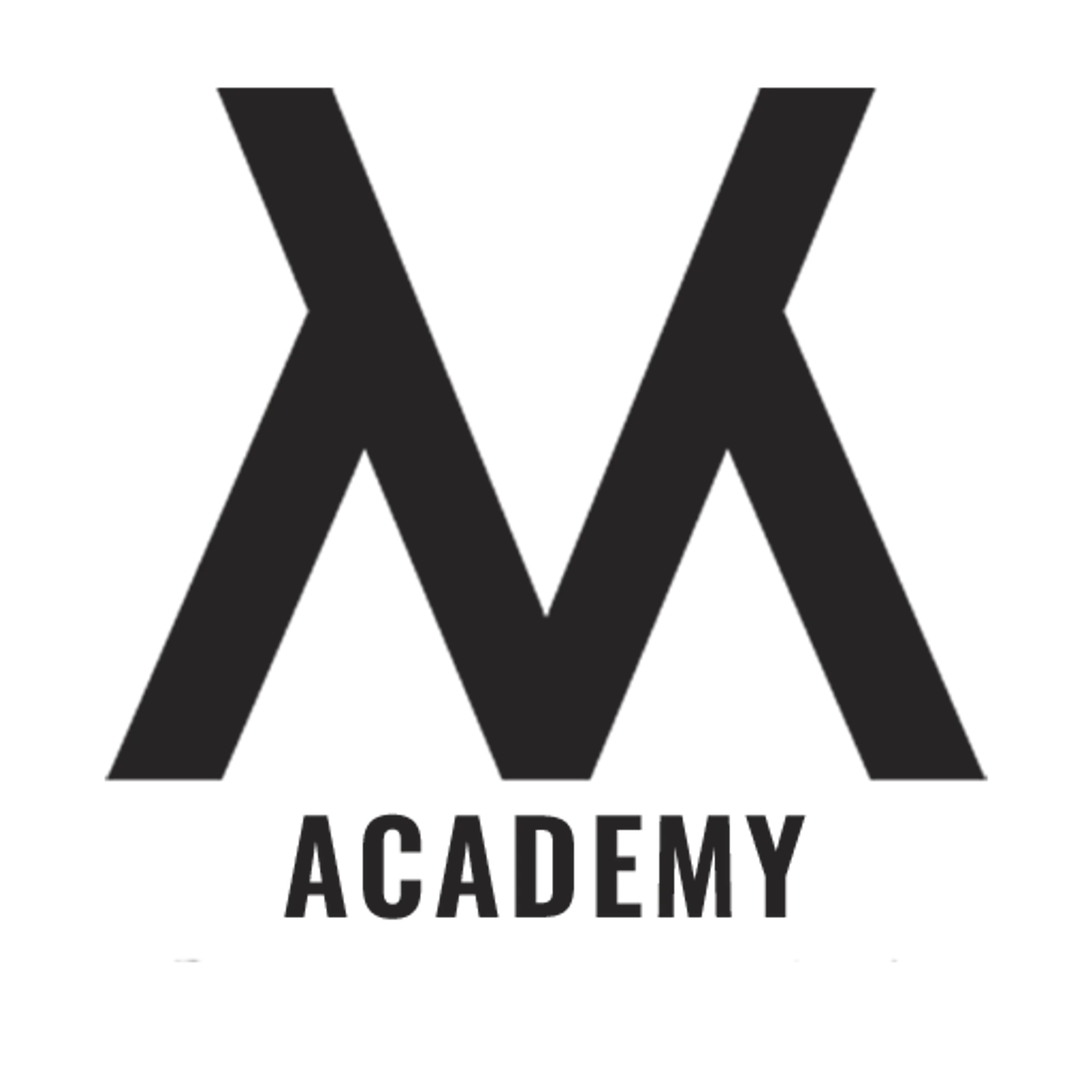 VM Academy