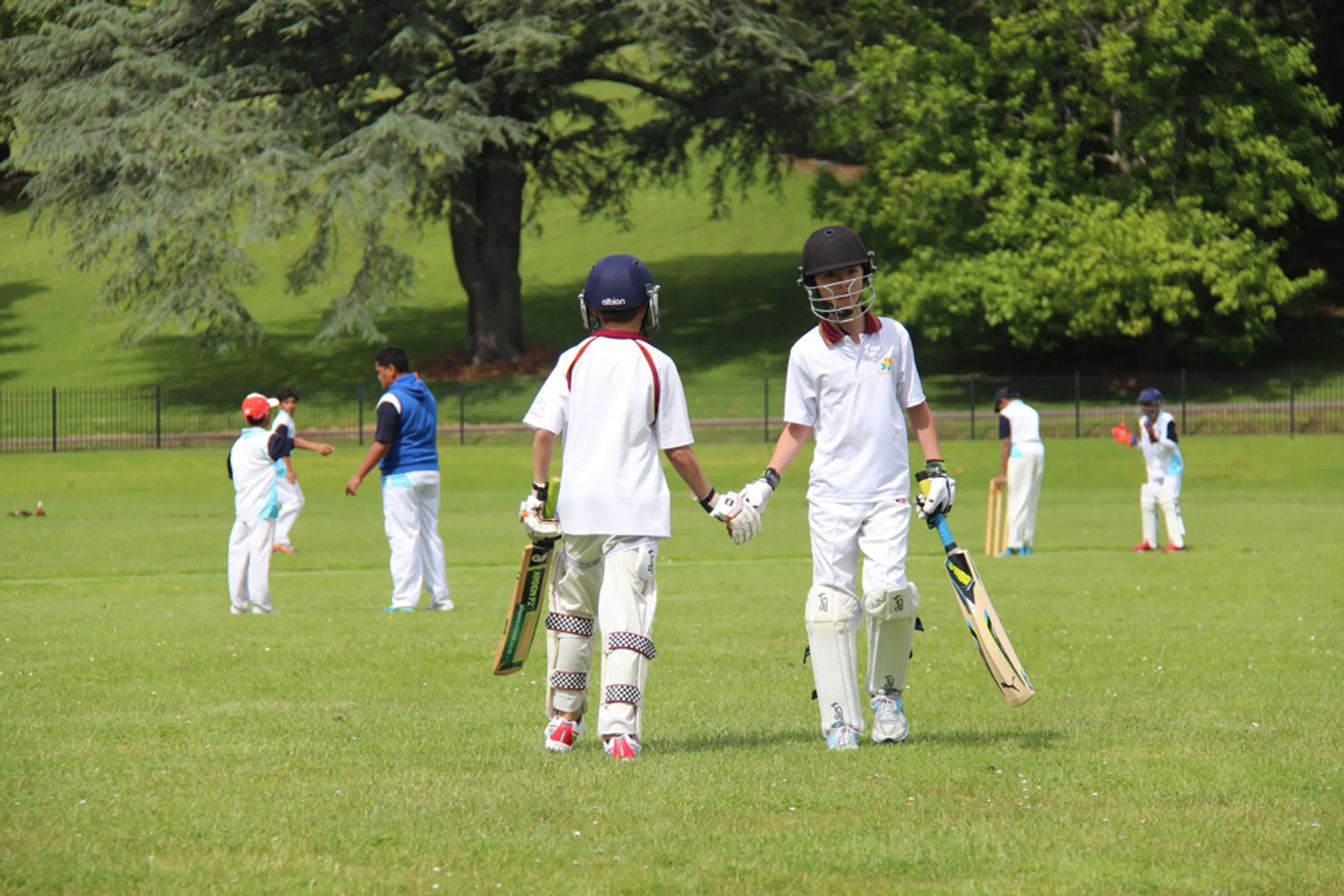 Boys Cricket - Under 10 to Under 13 Grades