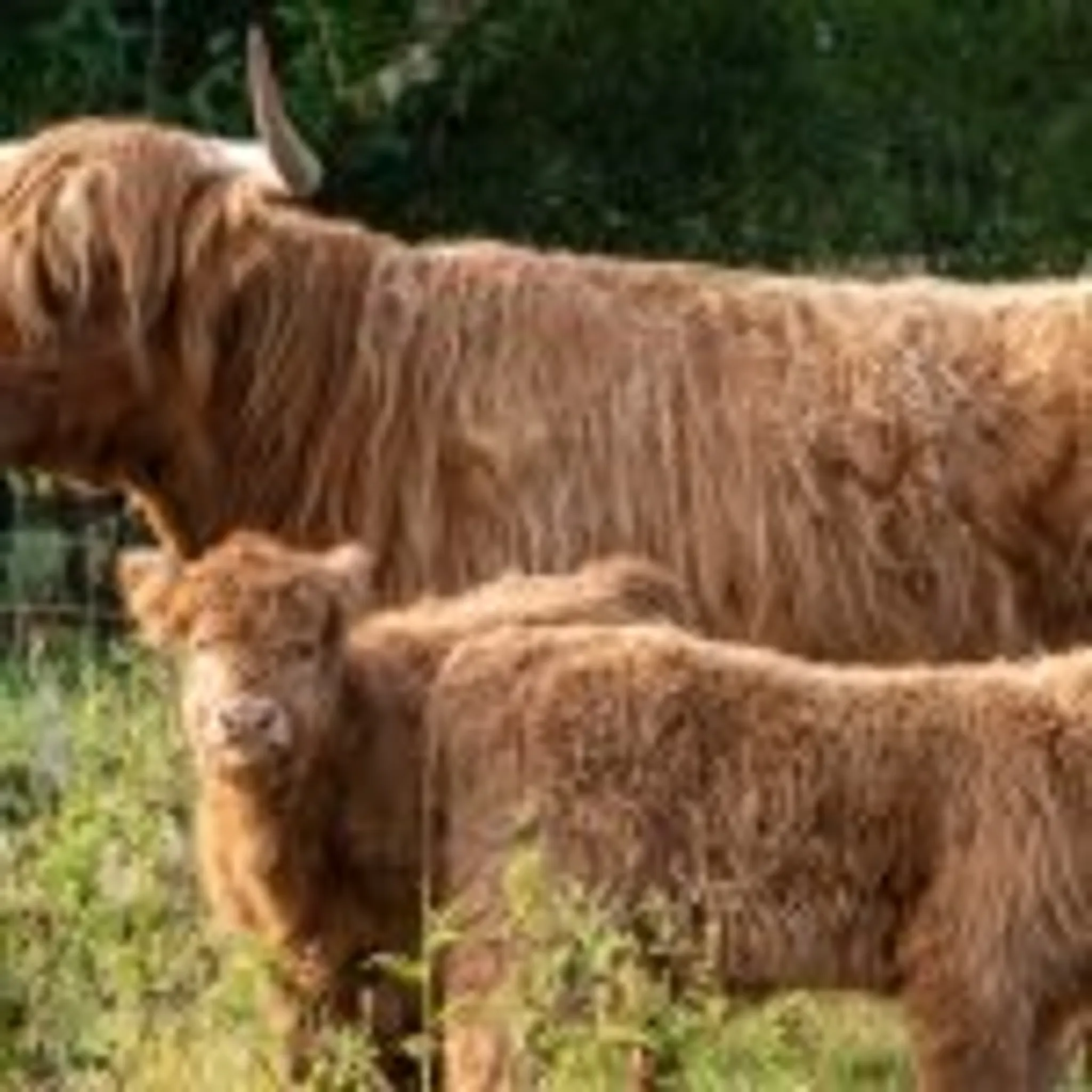 I Caught My First Fish