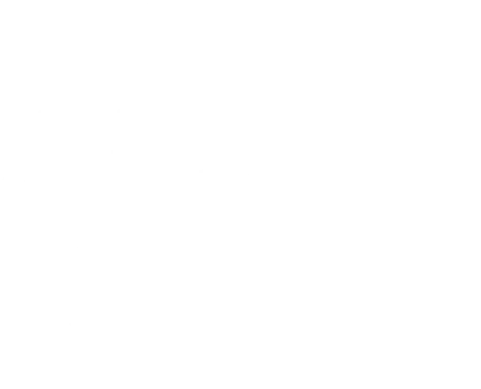 Vigor Coaching