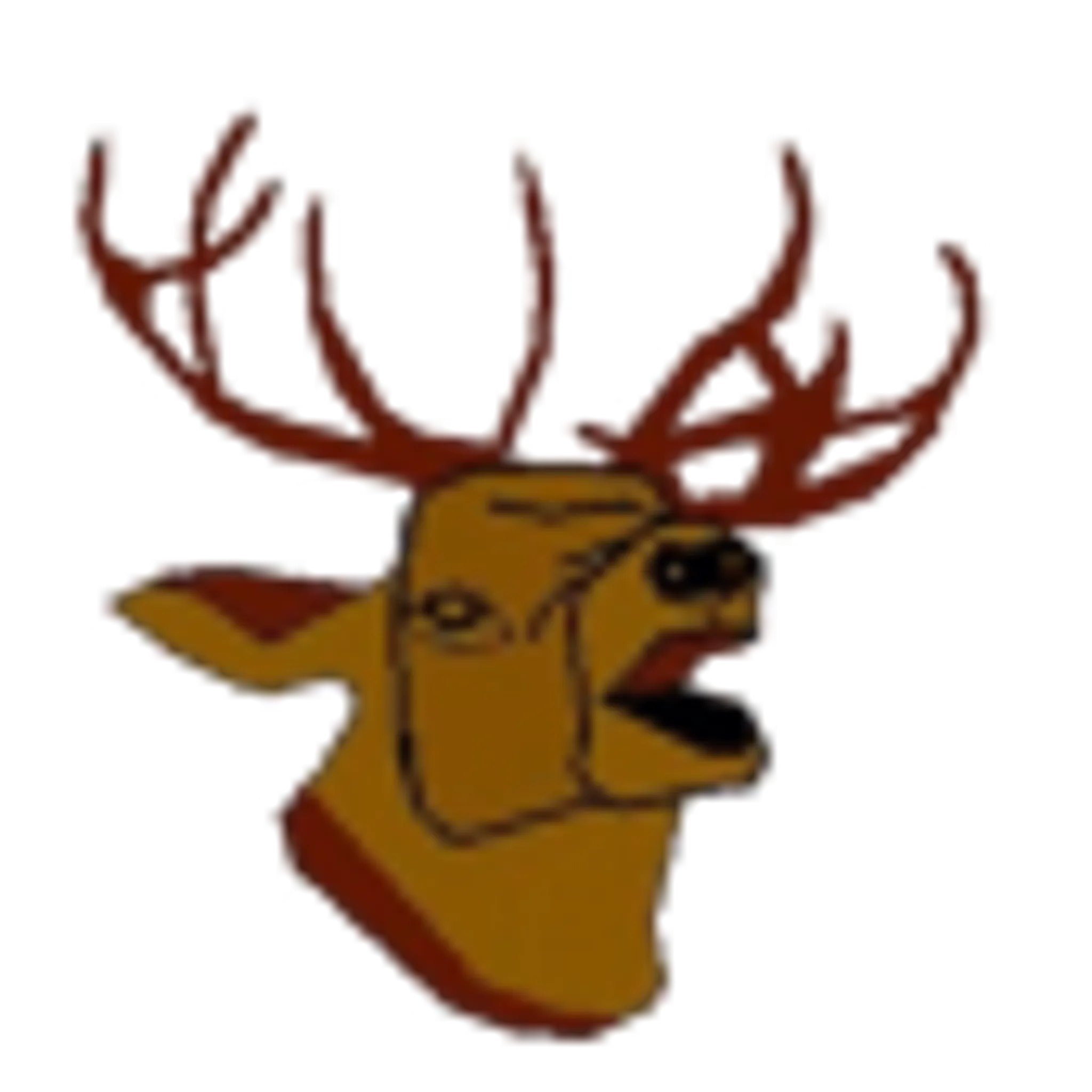 Deer Park Archers Ltd