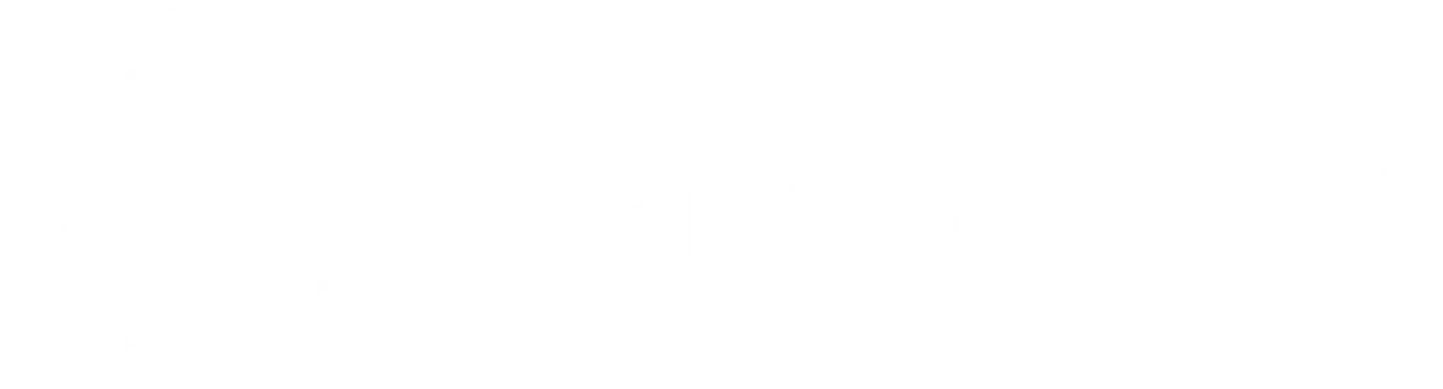 Winter cricket indoor