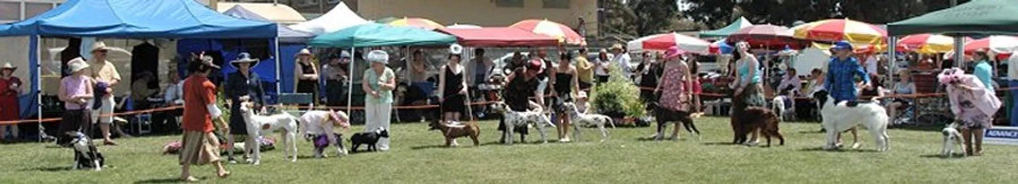 Melbourne Cup Weekend Canine Carnival
