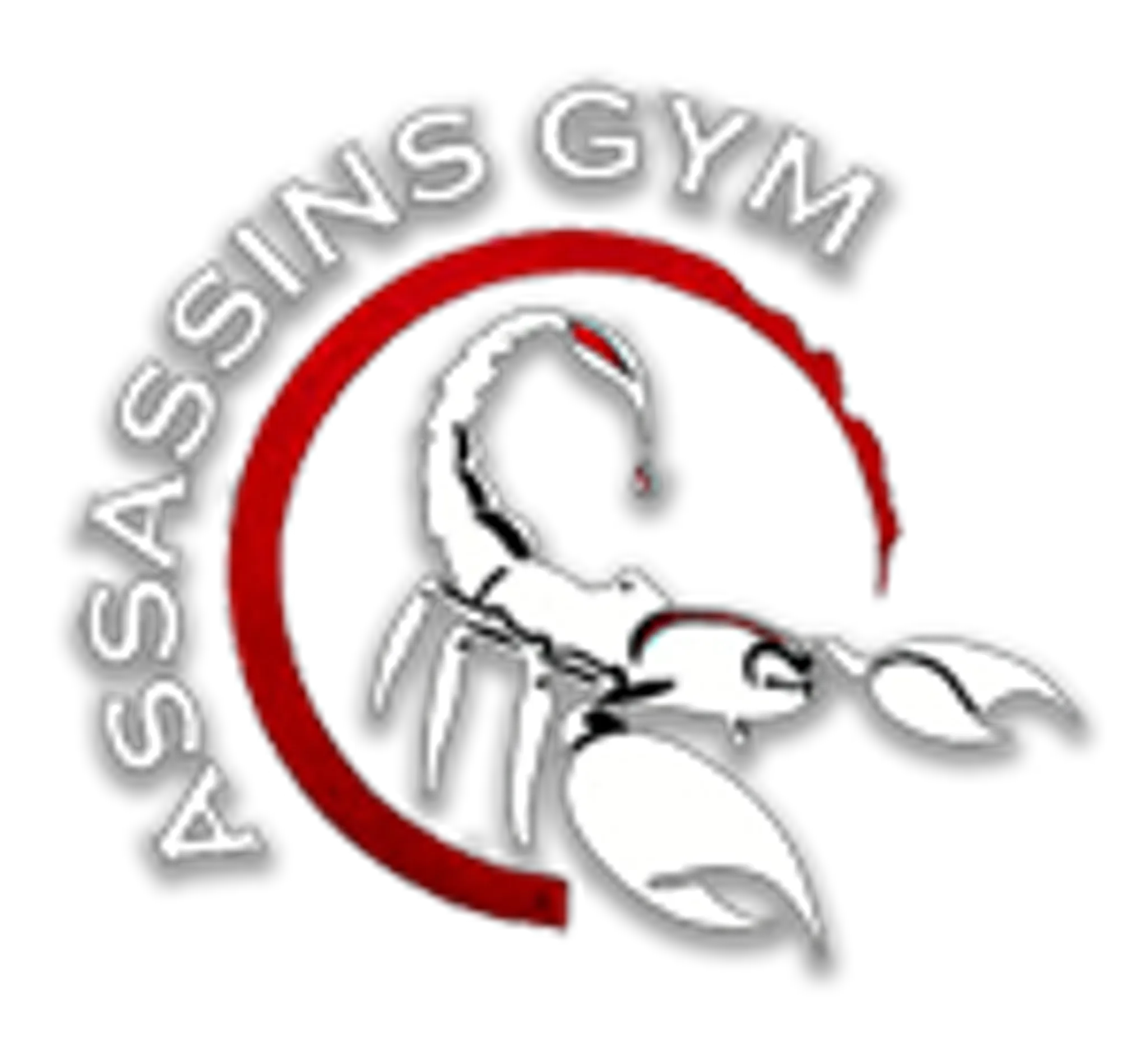 Assassins Gym