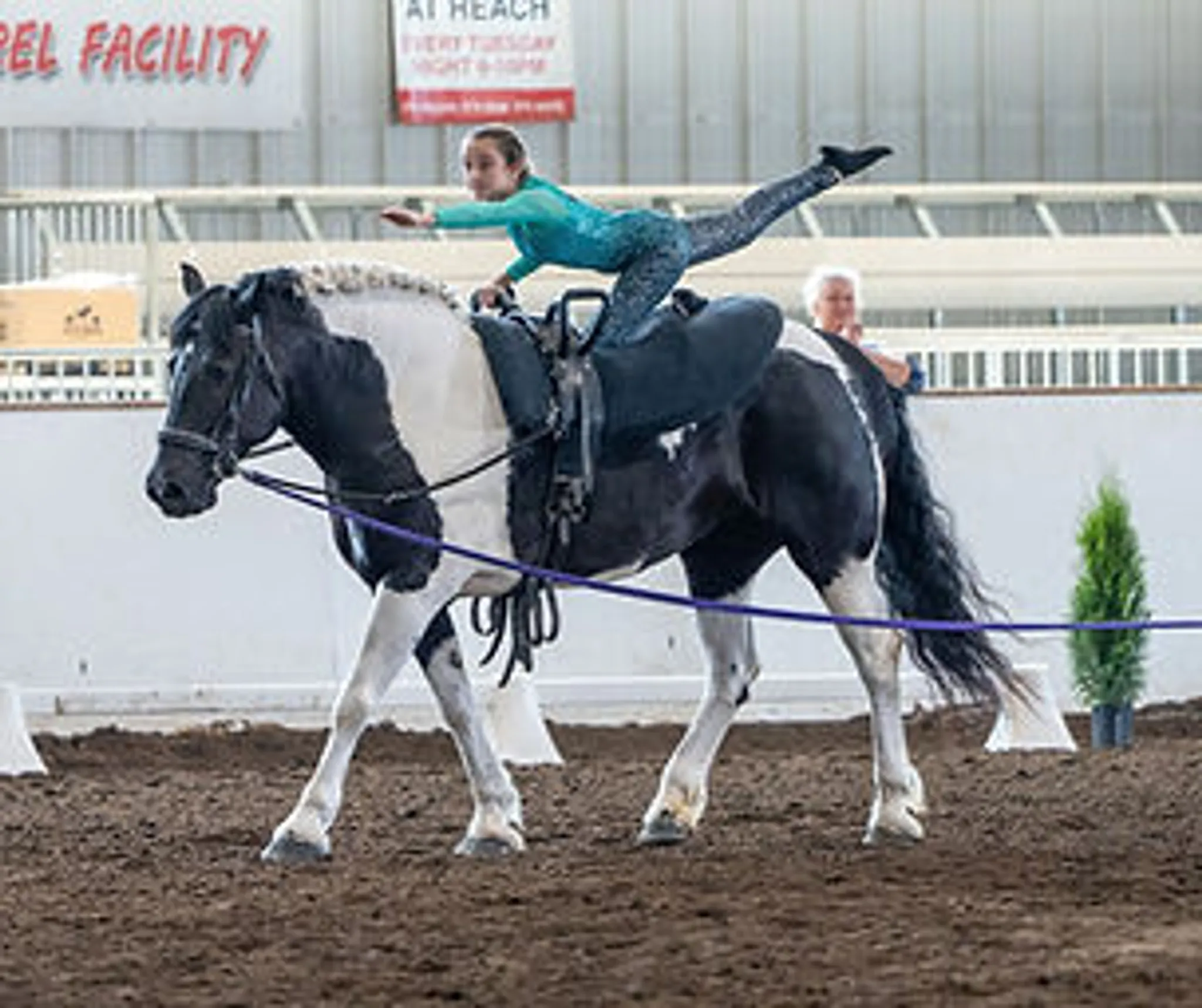 Ontario Equestrian Vaulting Show