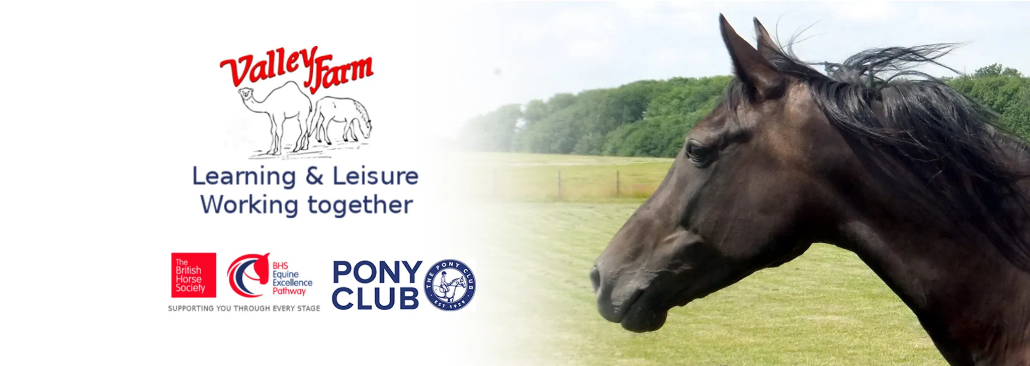 Residential Pony Camps