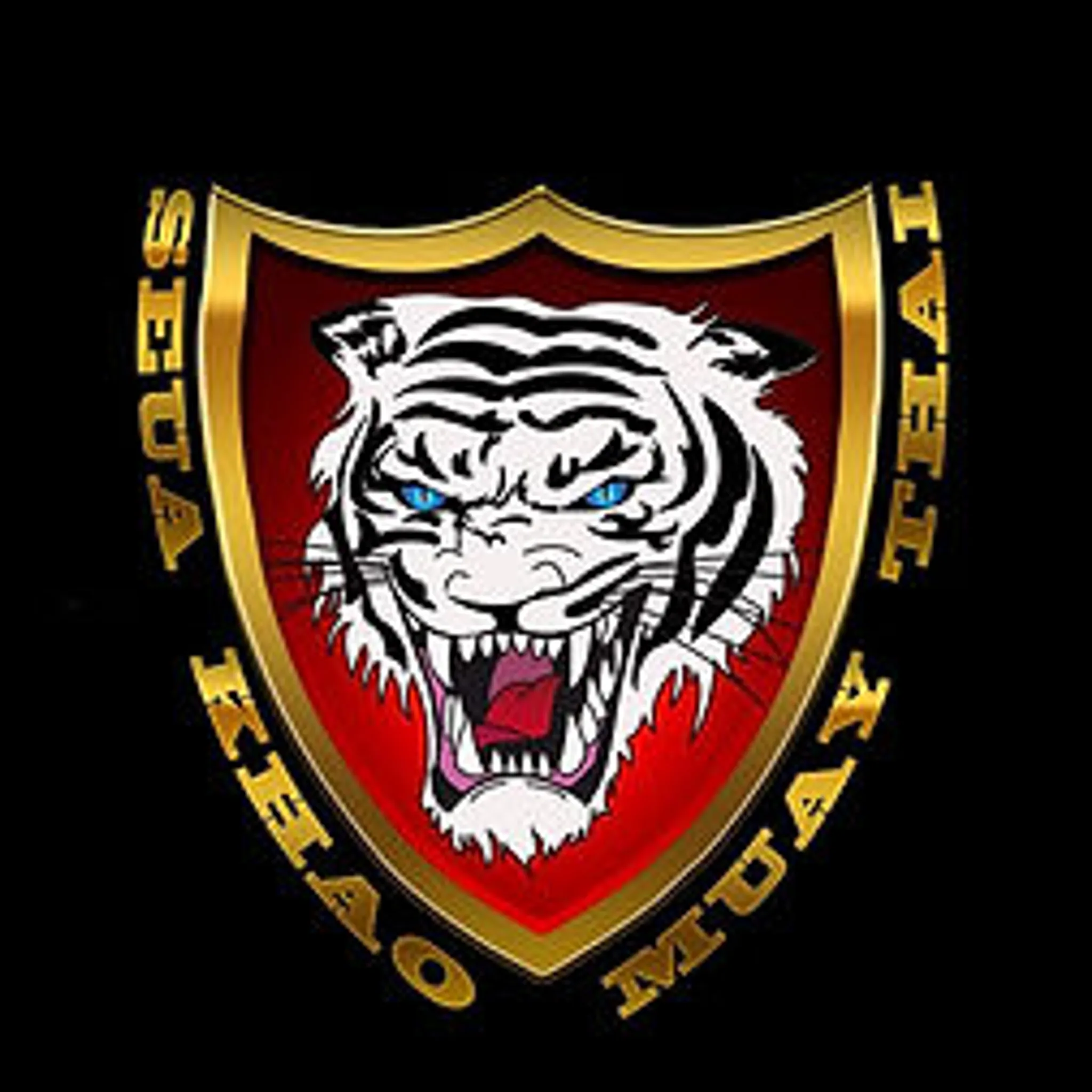 Muay Thaï - Boxe Thaï Seua Khao Muay Thai À Prigonrieux Bergerac