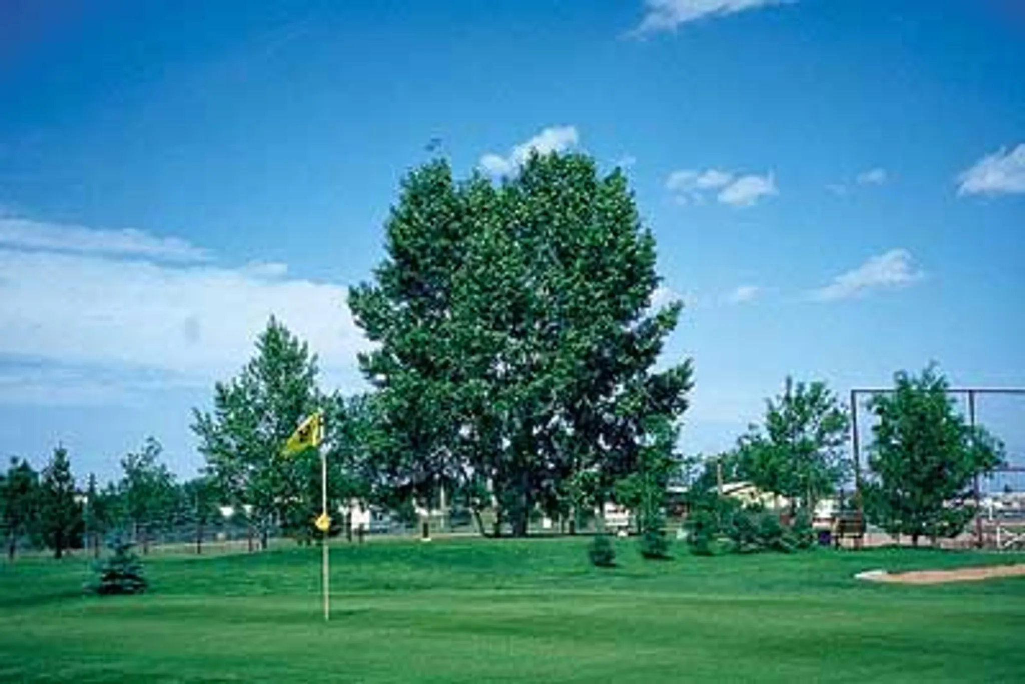 Castor Golf Club