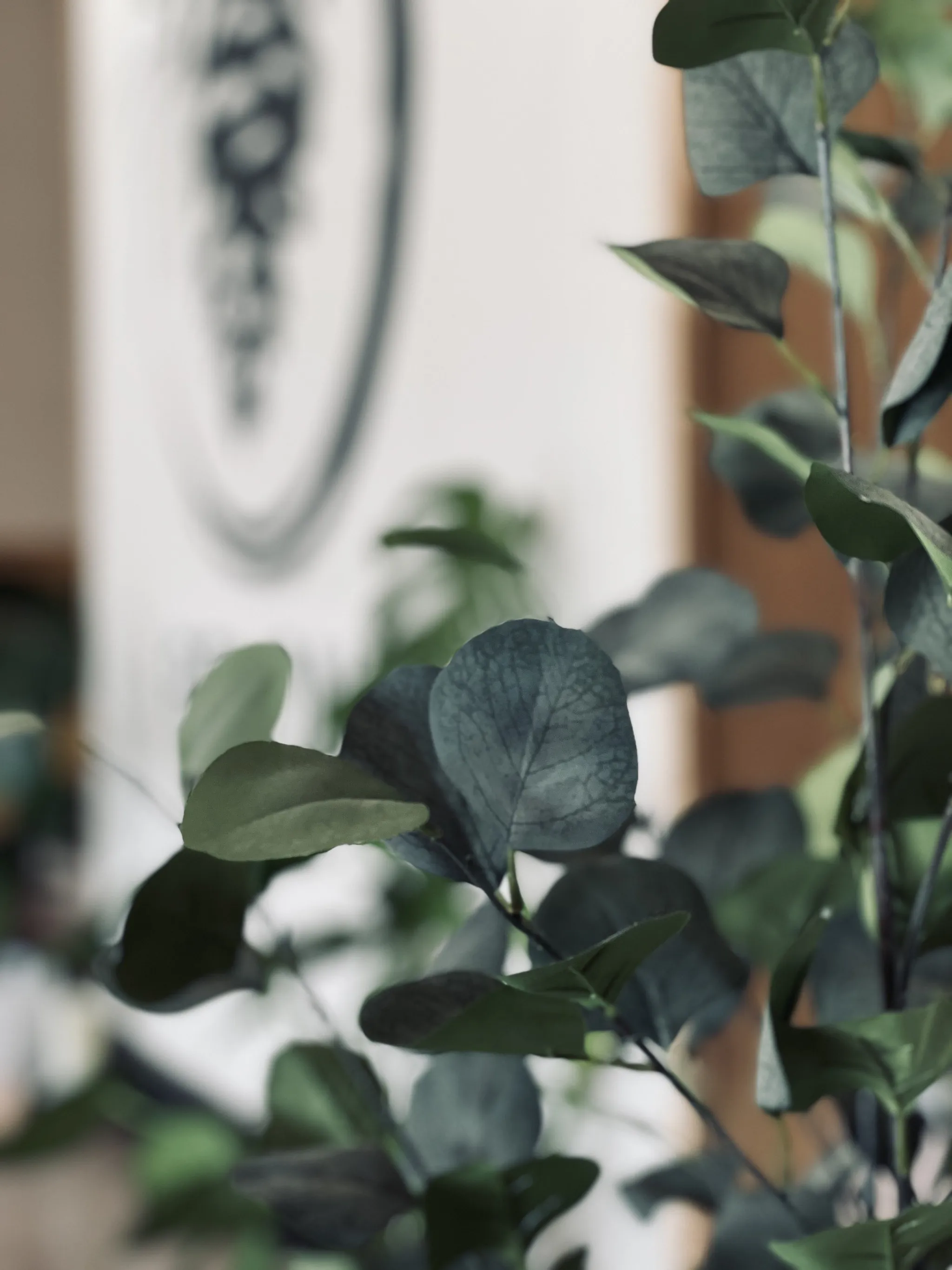 Holistic Wellness at Beyond the Pines