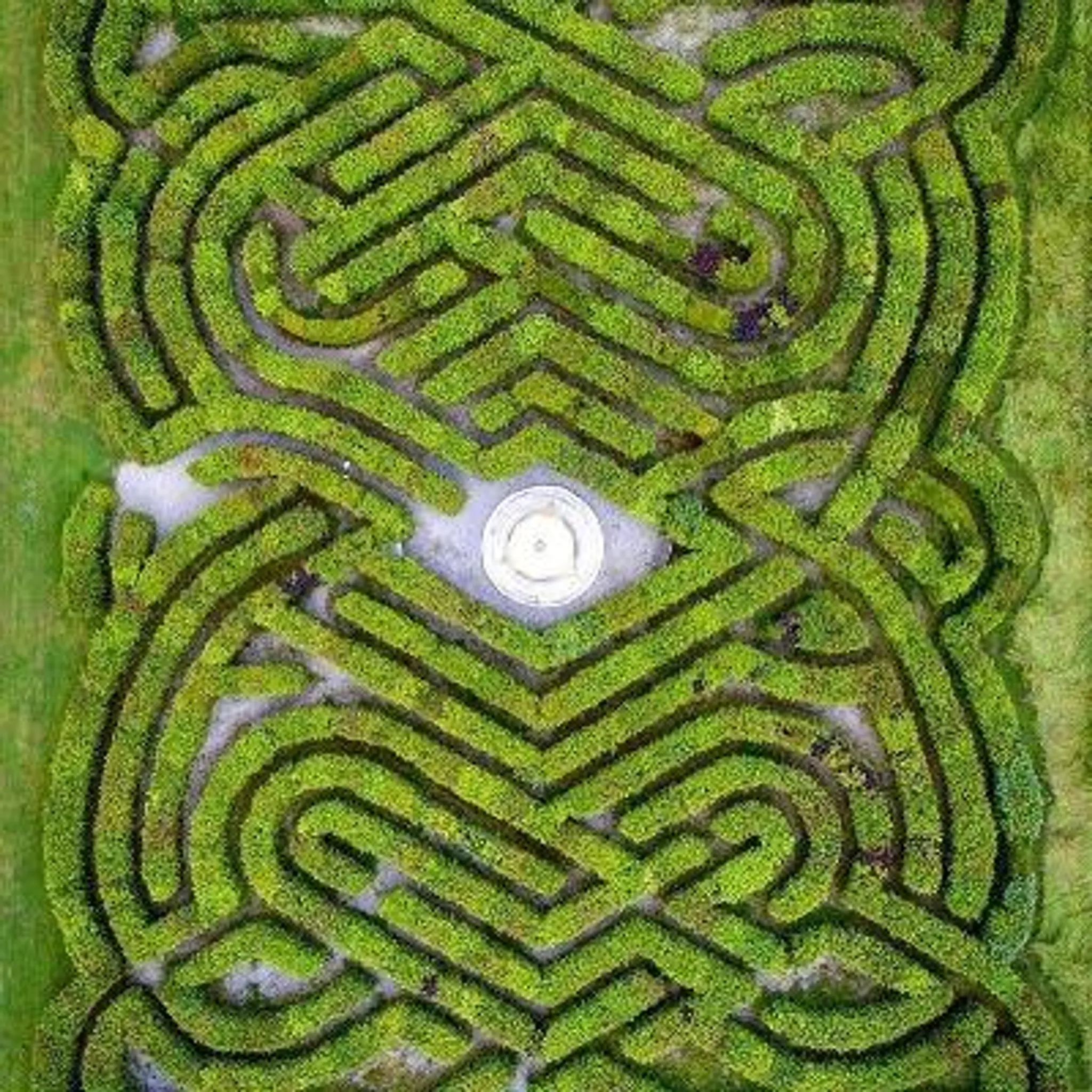 Fota Island Resort Open Week