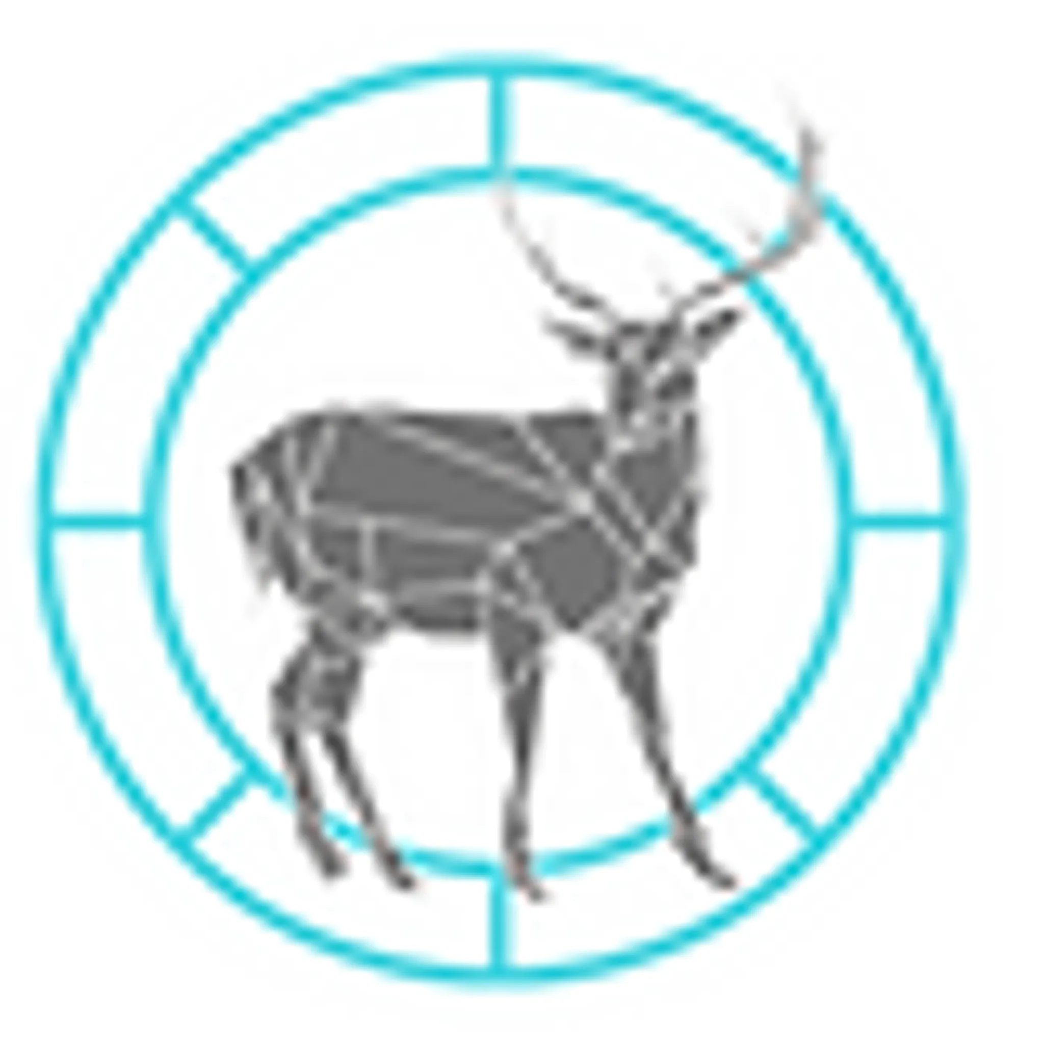 Highland Yoga Collective