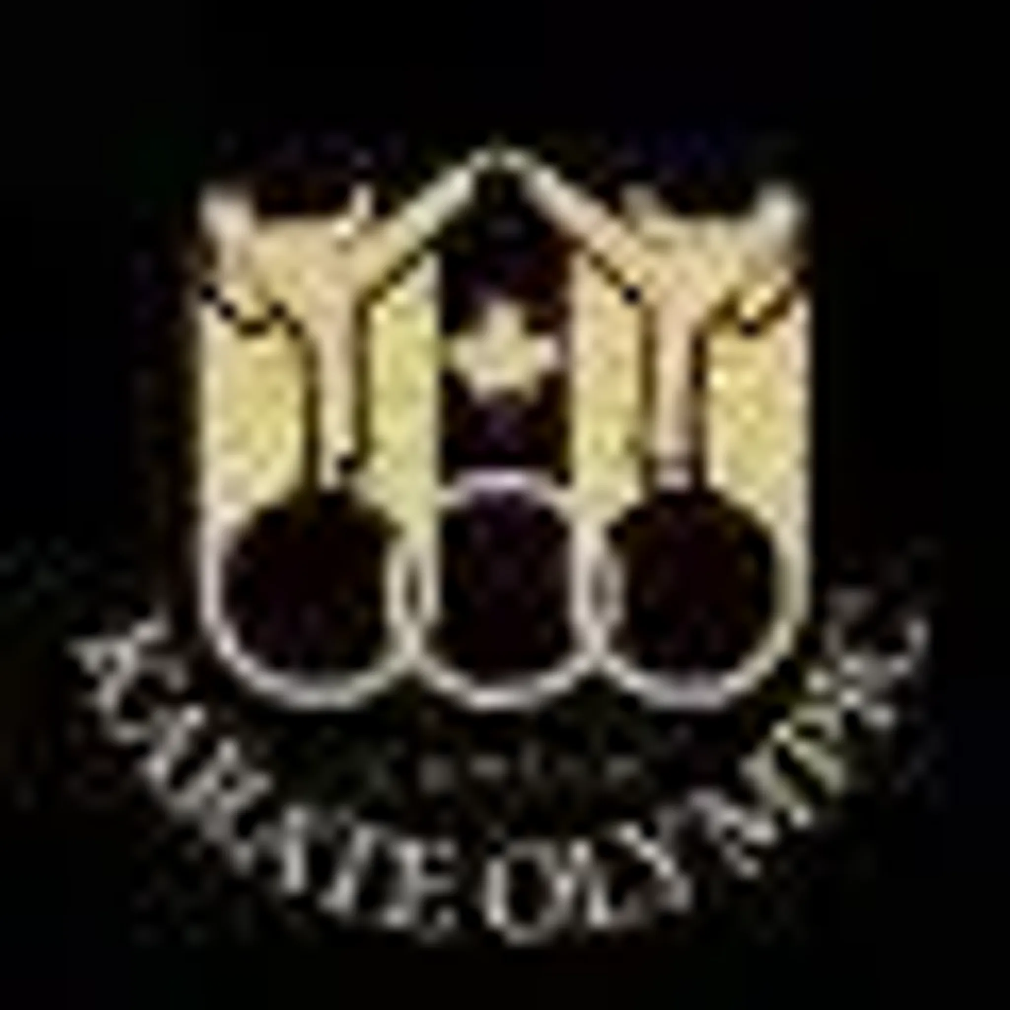 karate olympic centre inc