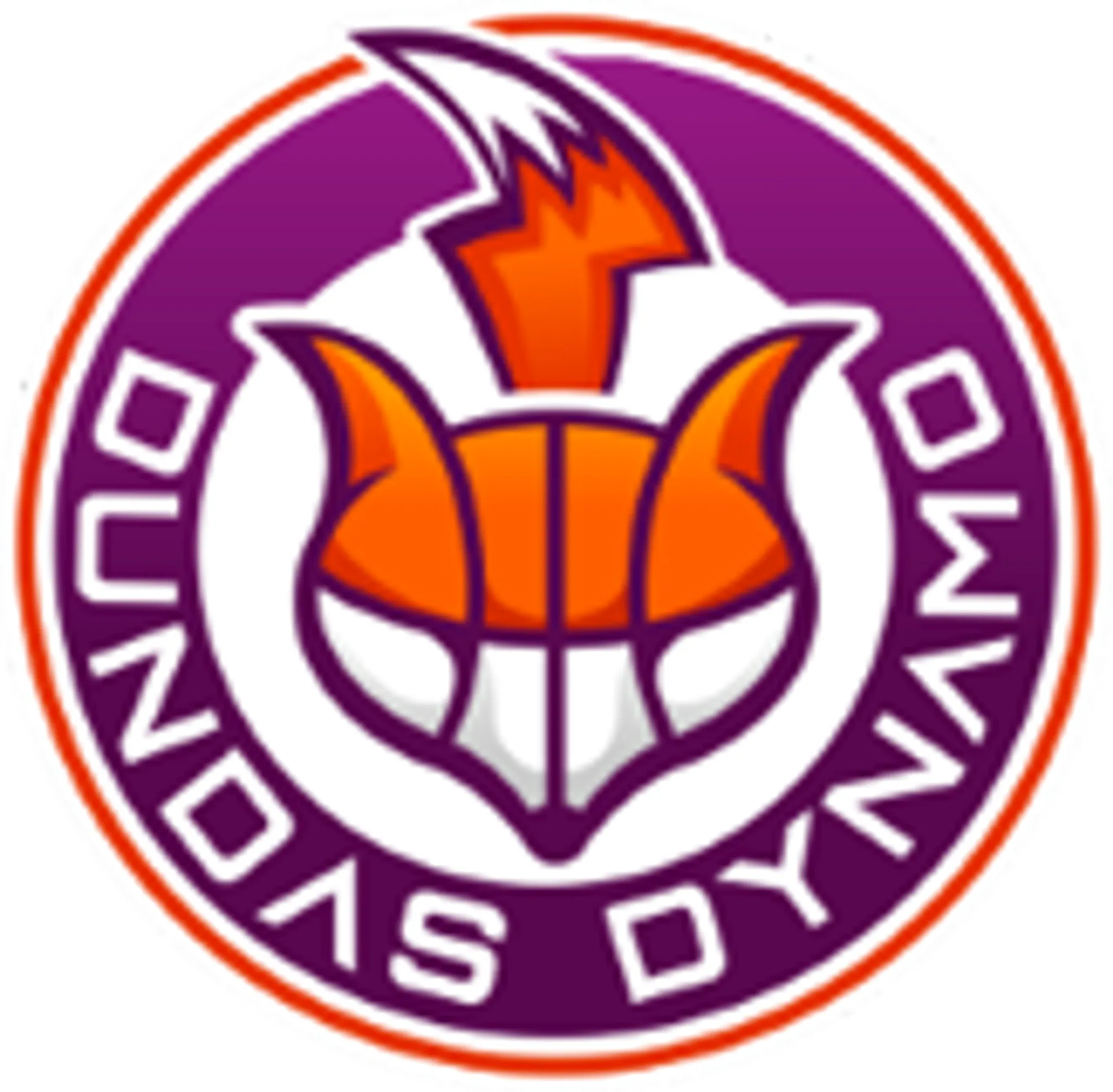 Dundas Dynamo Basketball Club
