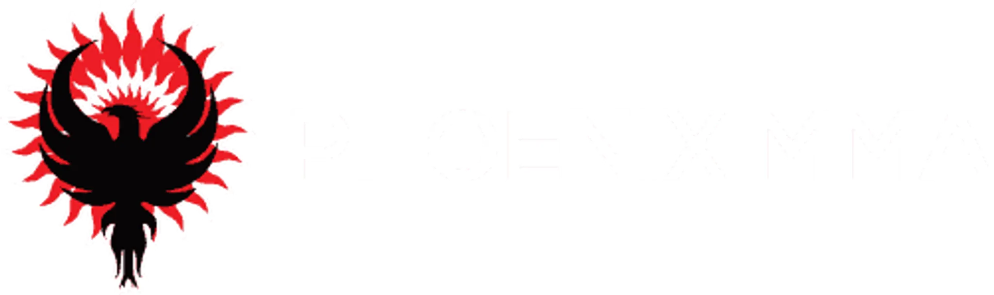 Phoenix MMA Southampton