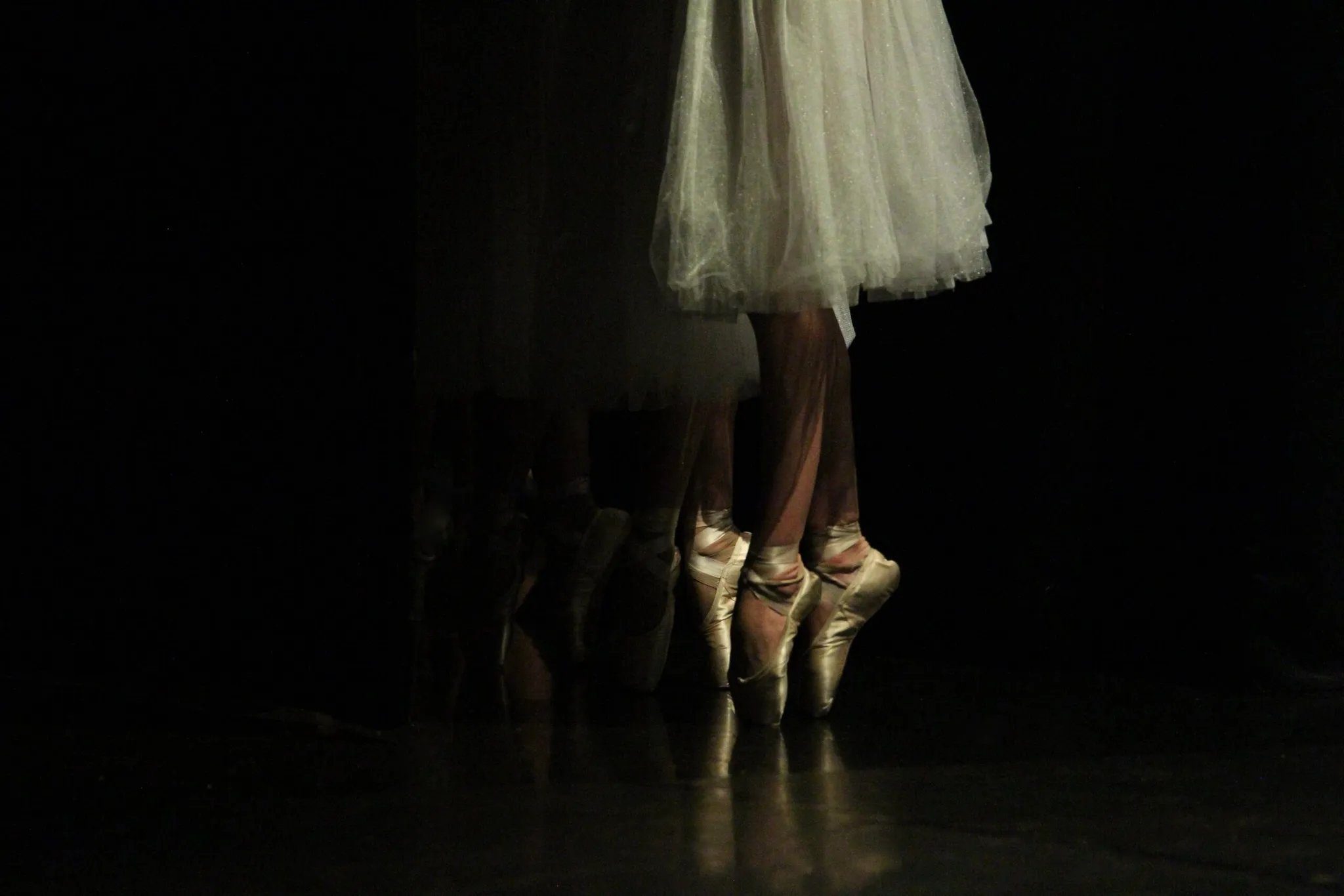 Silver Swans® Ballet Classes