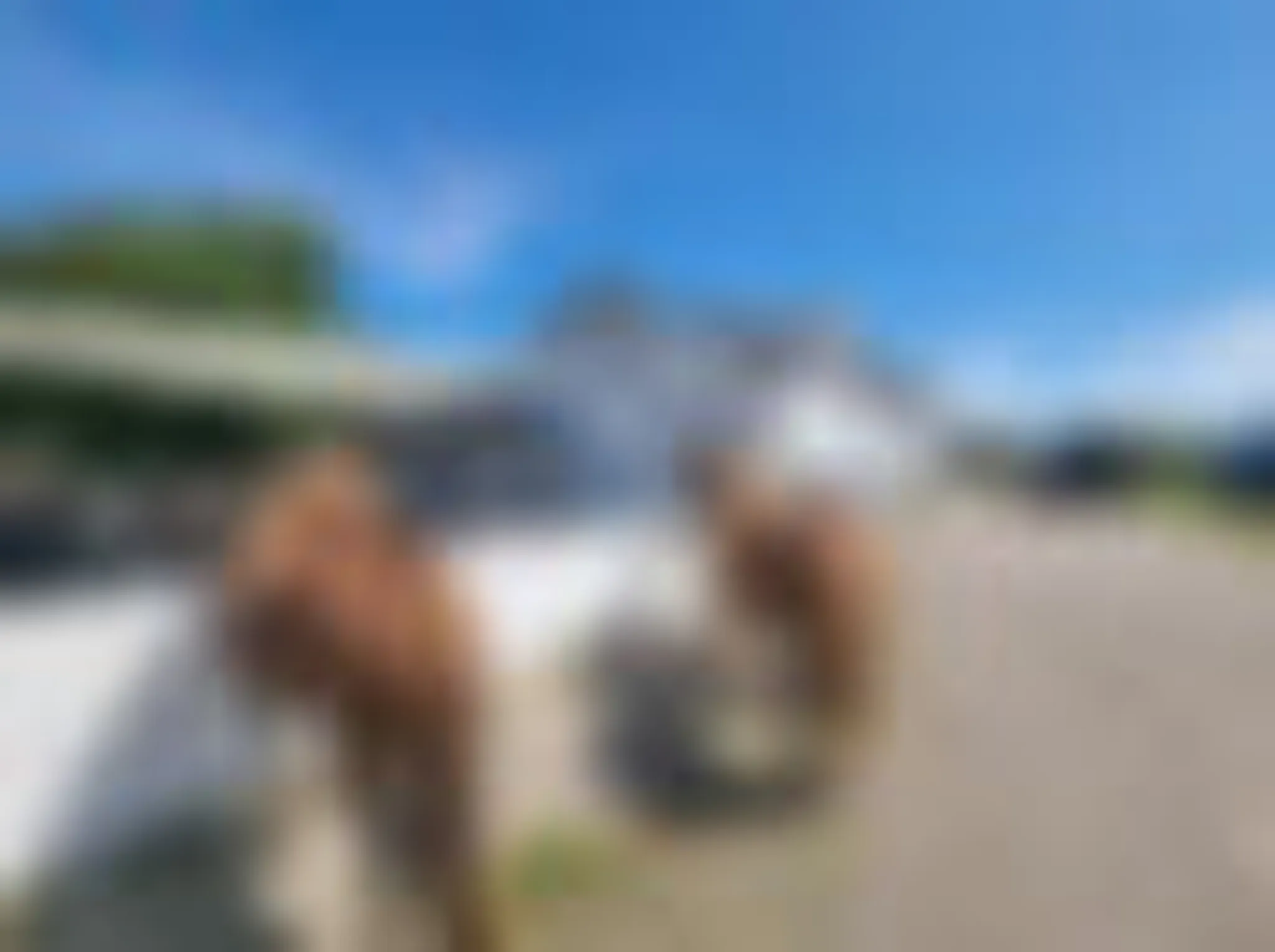 Condécourt Chantilly Sport Tournament