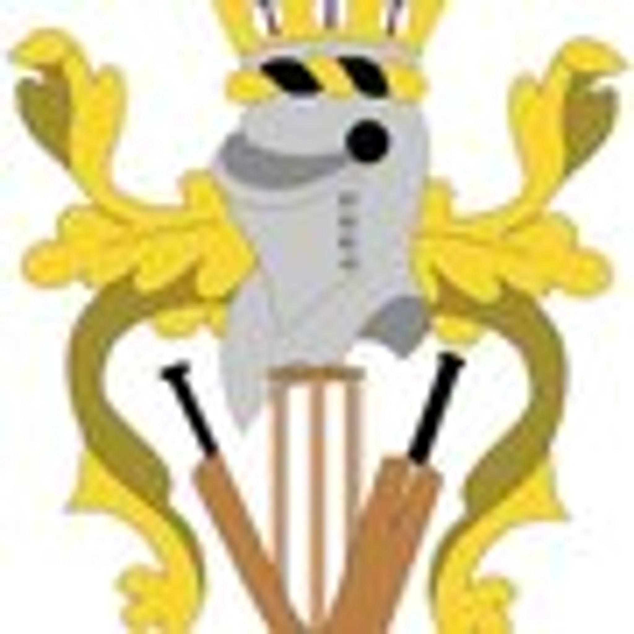 Mitcham Cricket Club