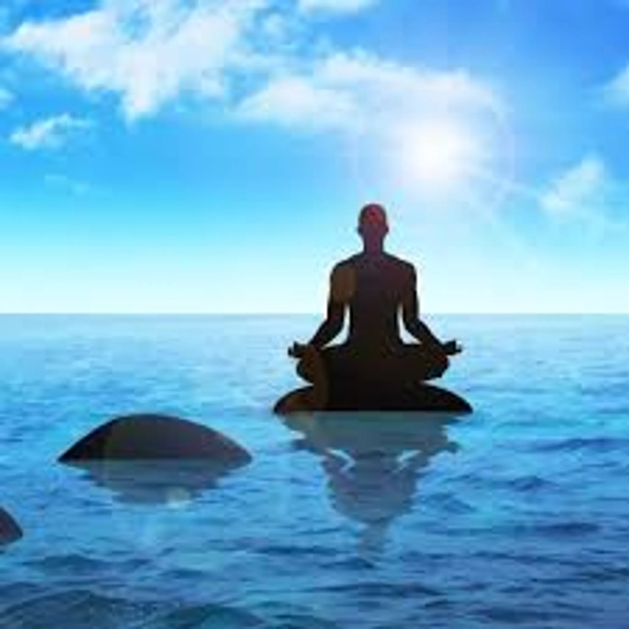 Les Milles Et Une Fréquences