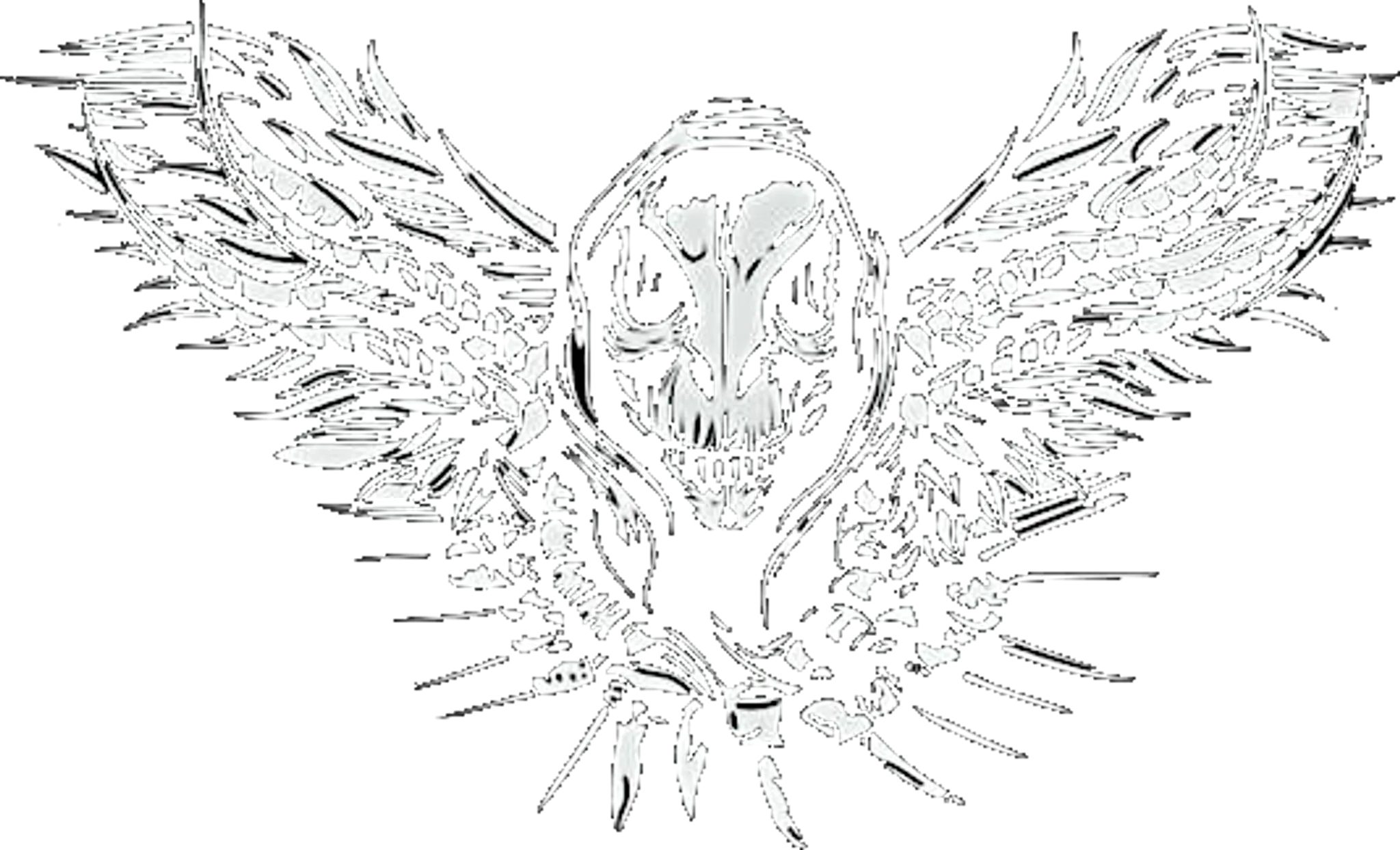 Raptors Muay Thai , & Fitness