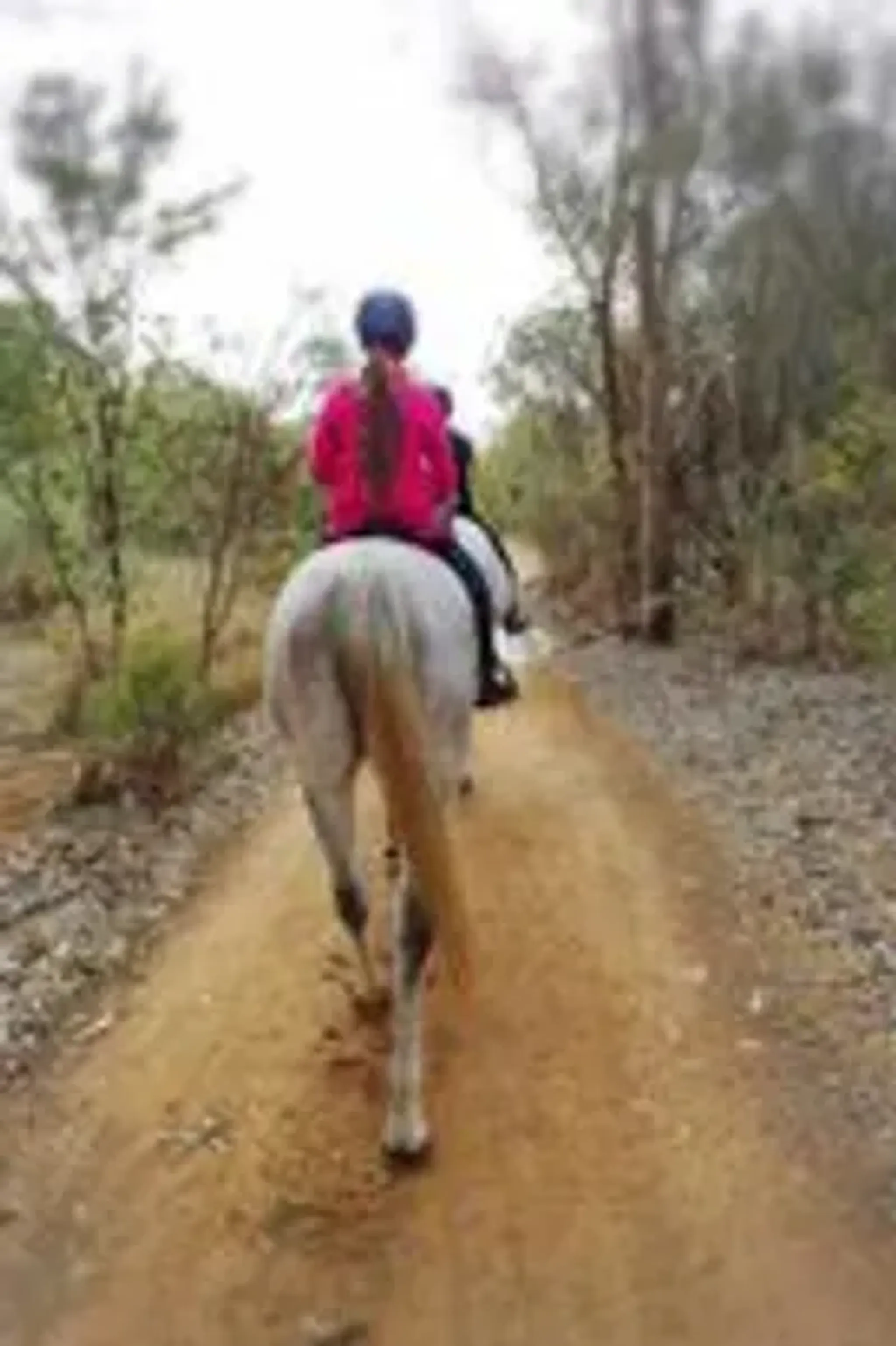 Summer Creek Brewery ride