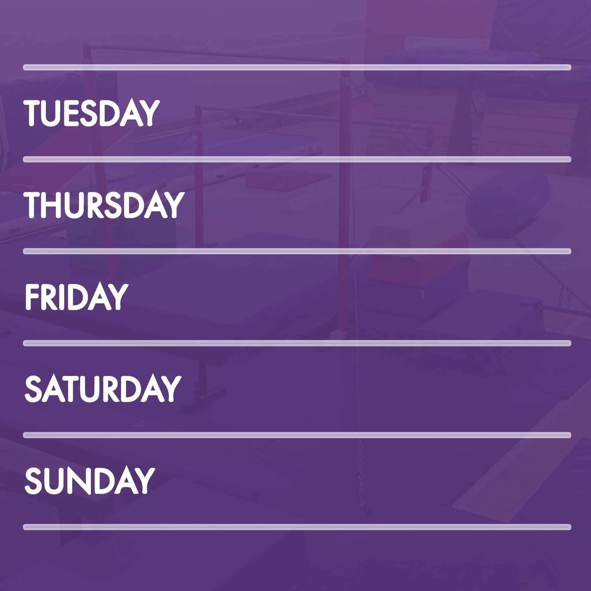 Private Gymnastics Lessons