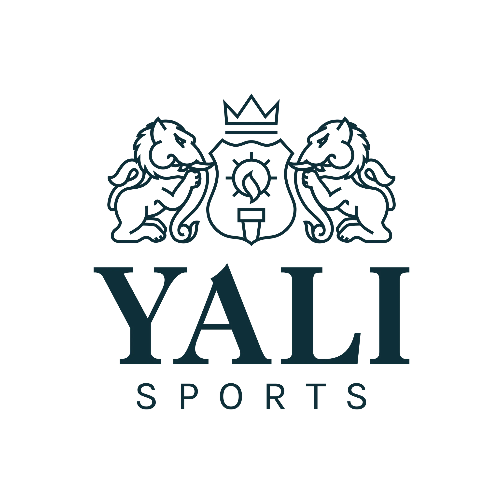 Yali 5s Turf Football