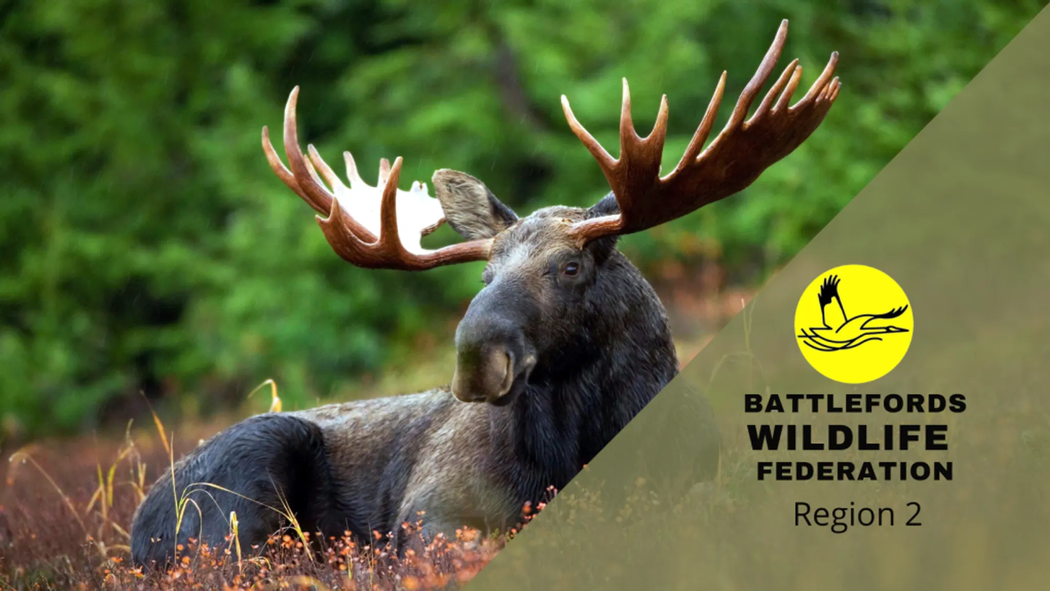 Battlefords Wildlife Federation