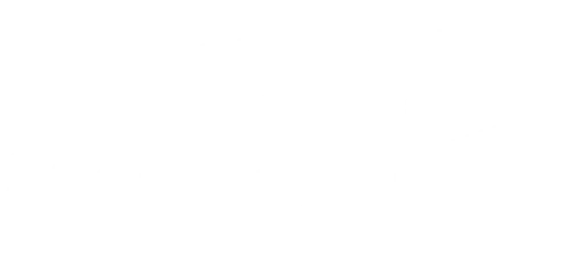 Shobu Kai Karate Academy