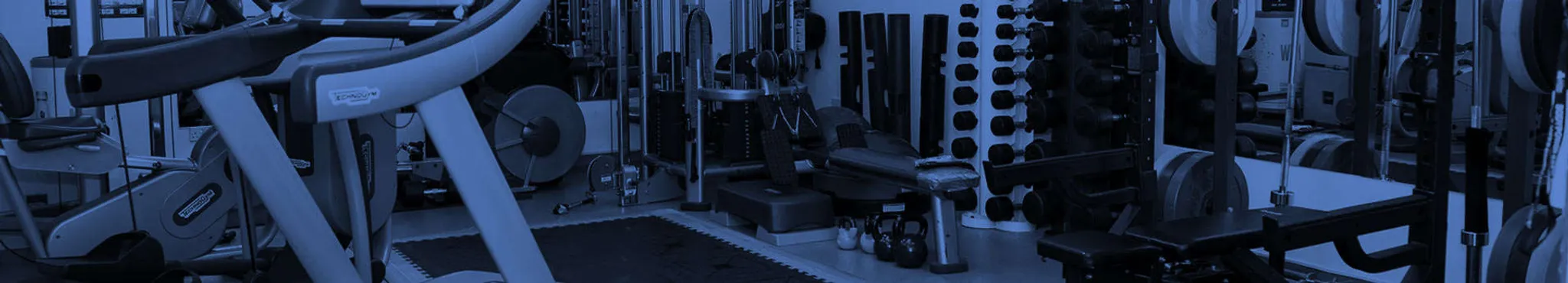 Lee McGrorty Fitness