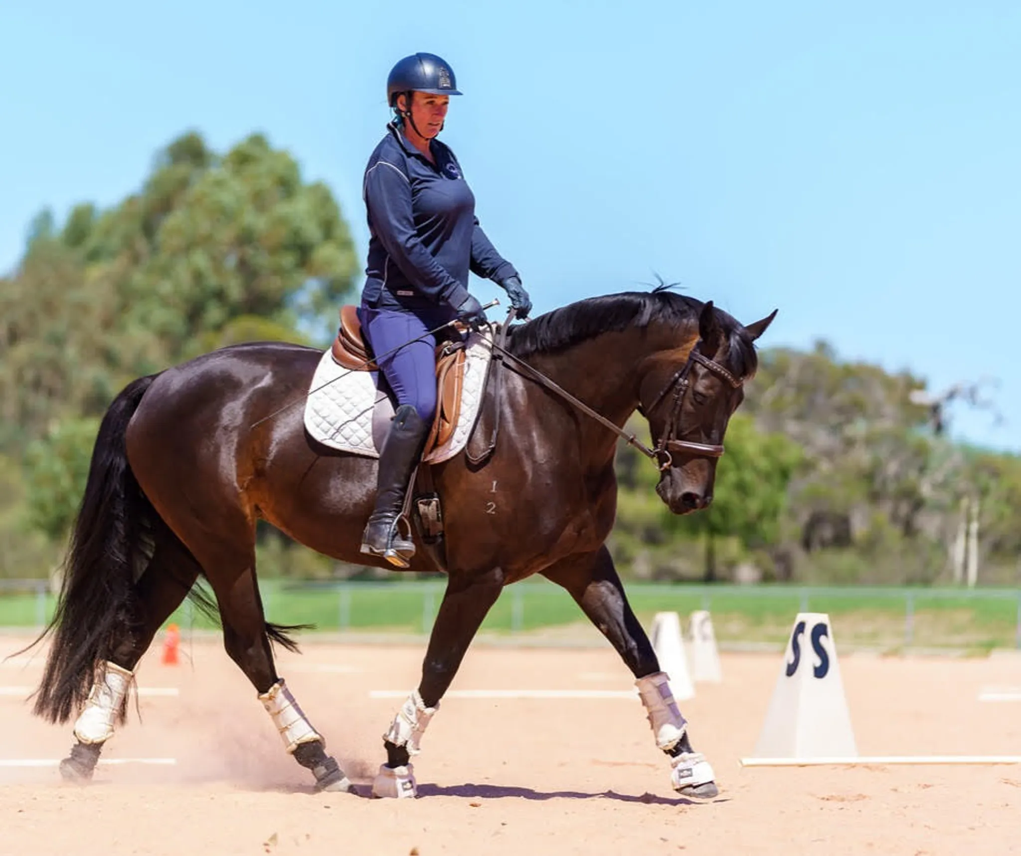 The Dressage Association of WA