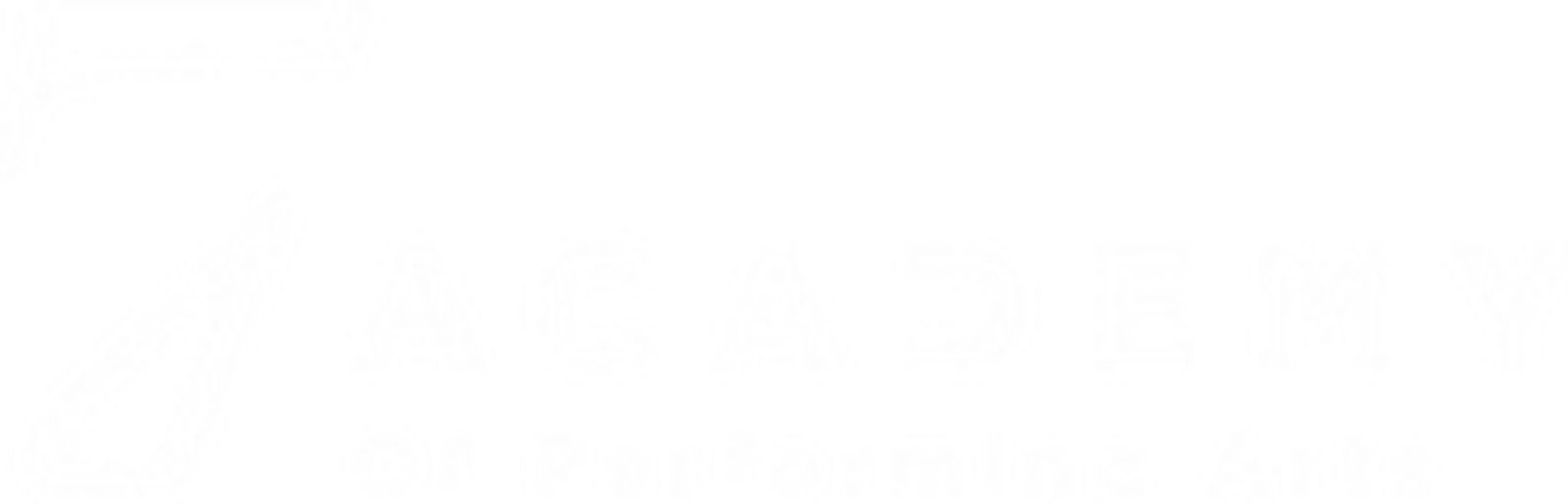 7 Academy of Performing Arts Telford