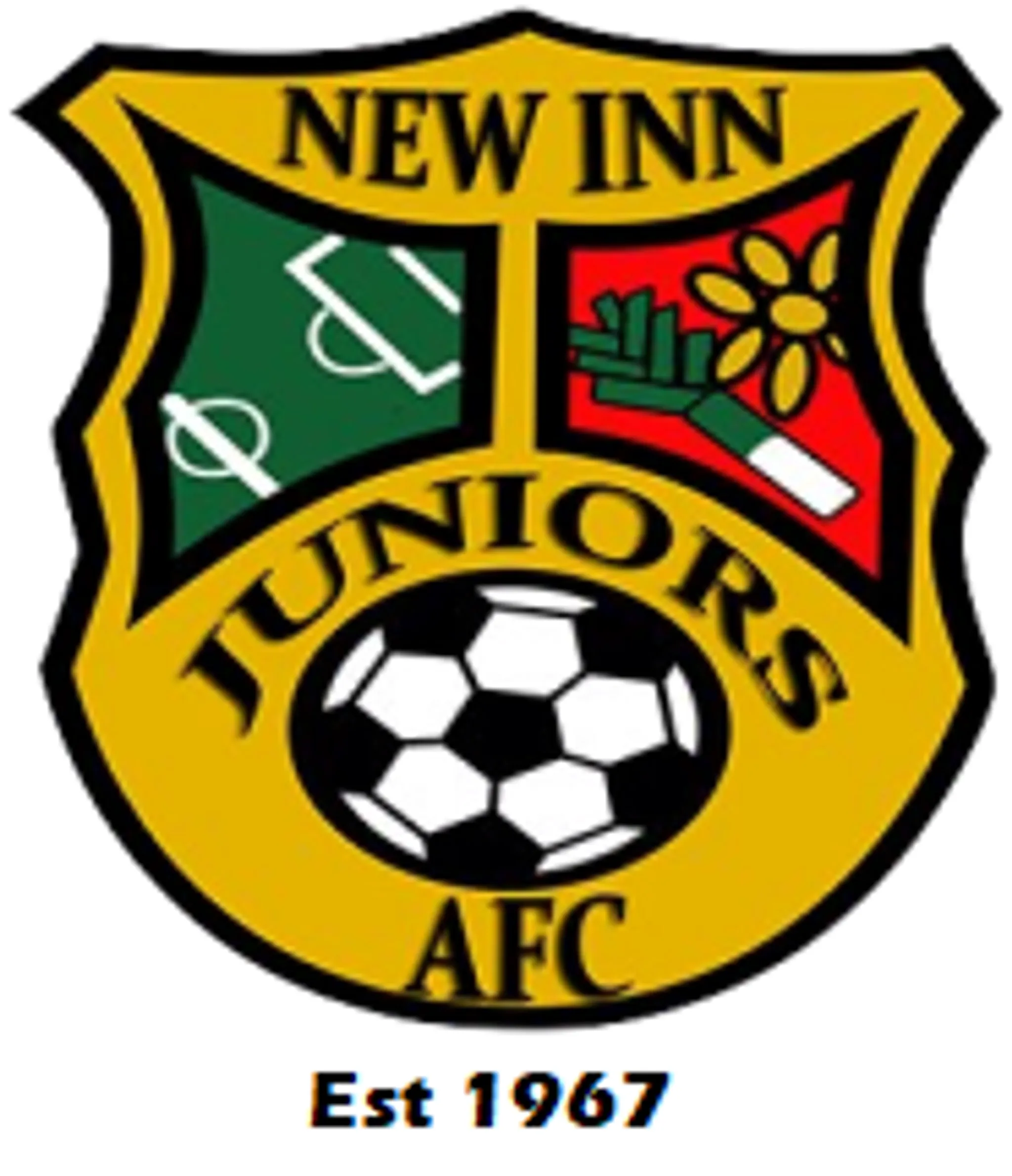 New Inn Junior Football Club