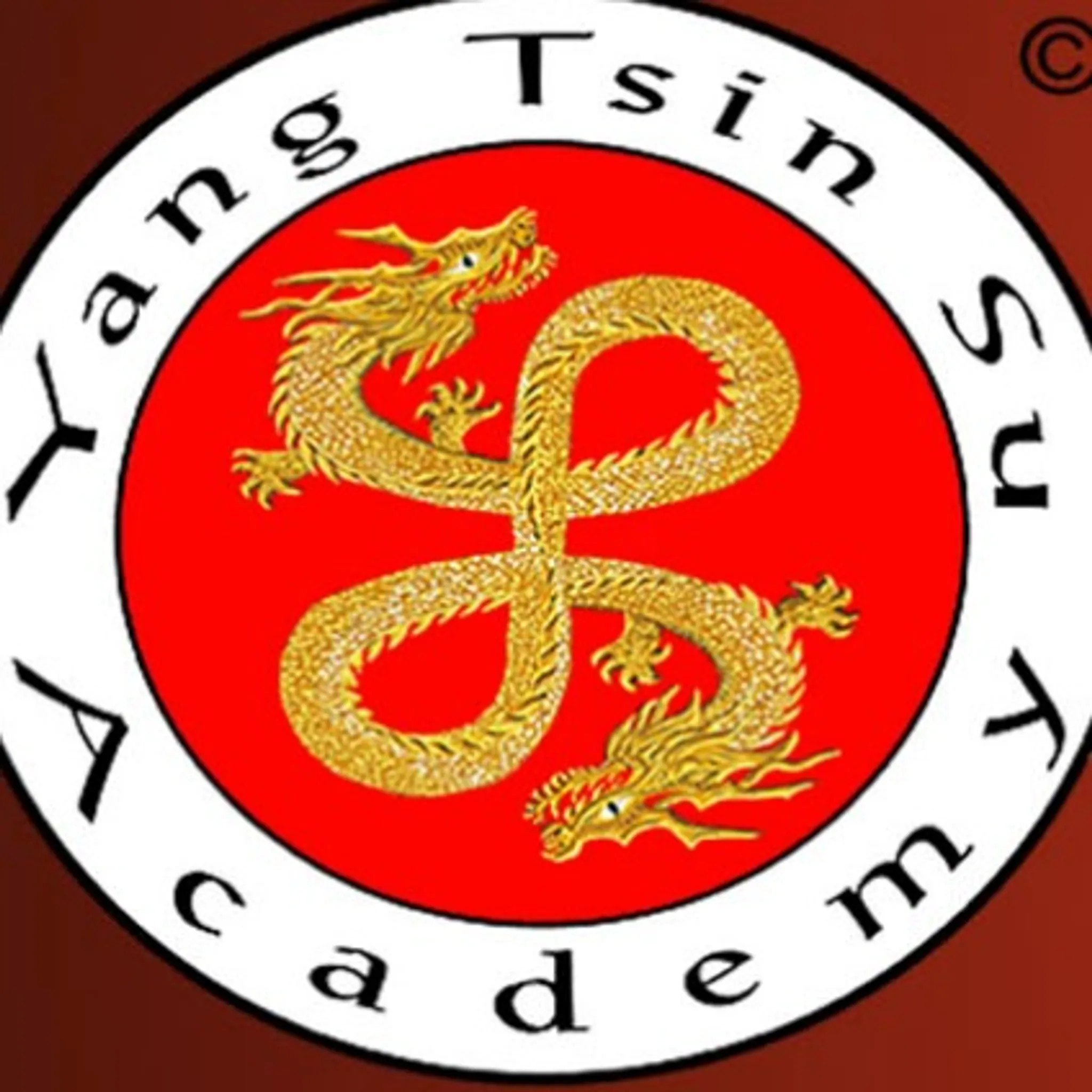 Yang Tsin Su Academy 