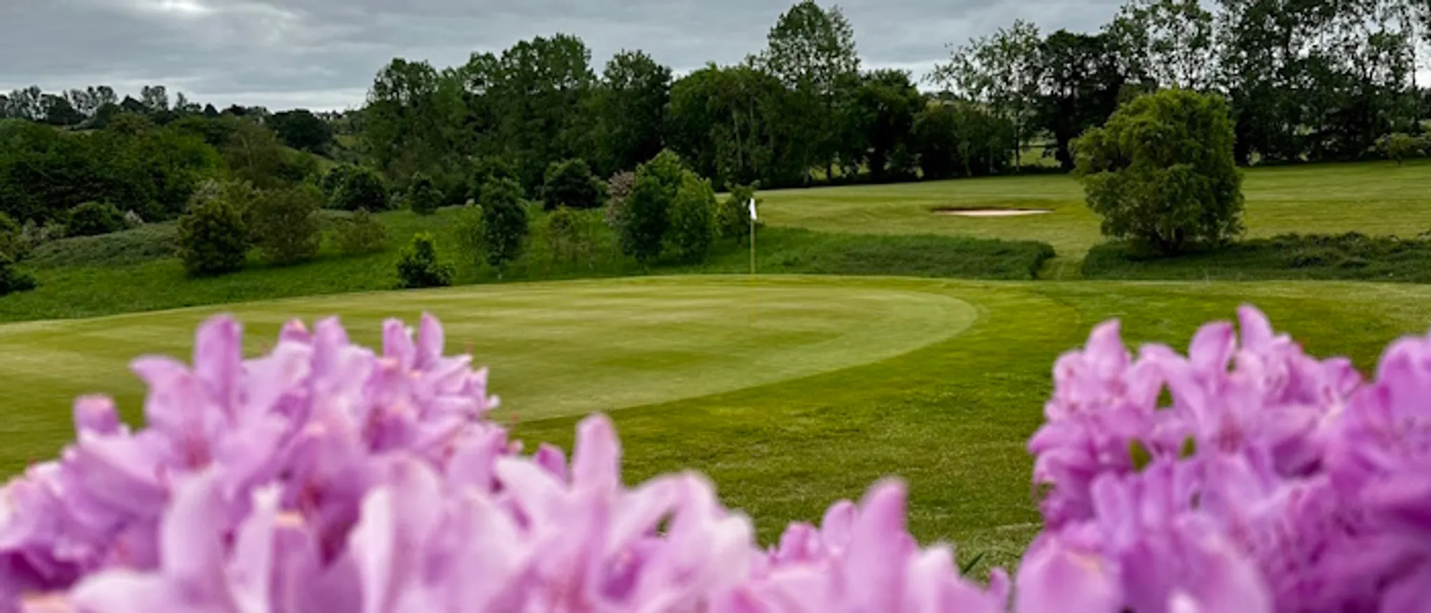 Seniors Open - Individual Stableford Competition