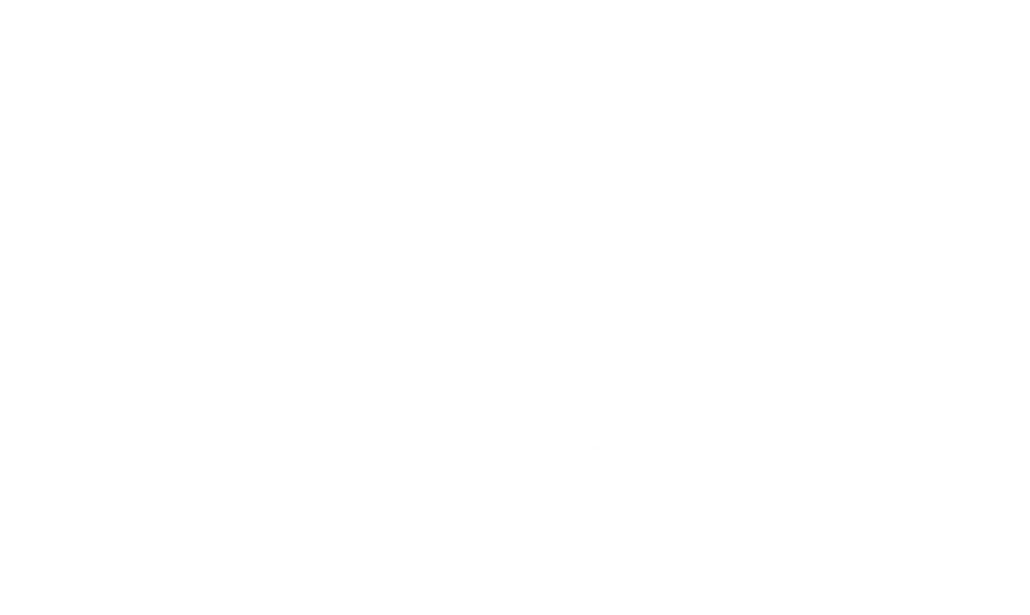 PRECISION PILATES STUDIO