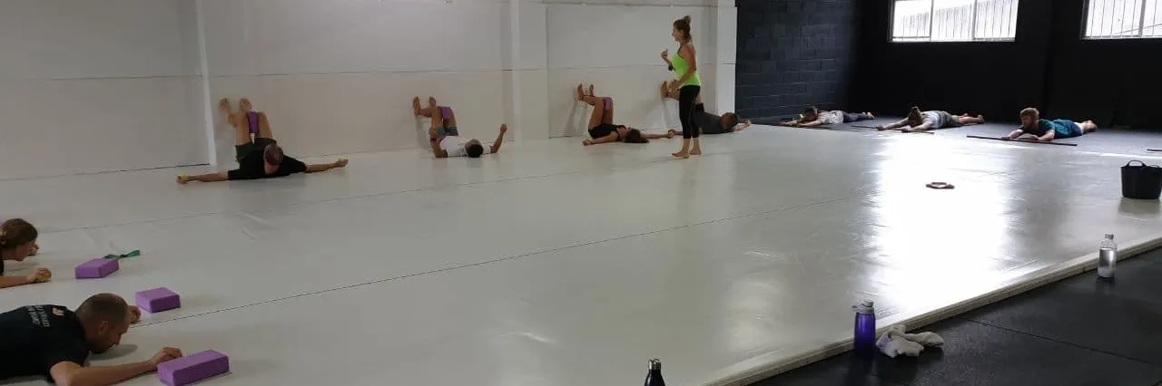 Joint Health and Mobility Joint Health and Mobility