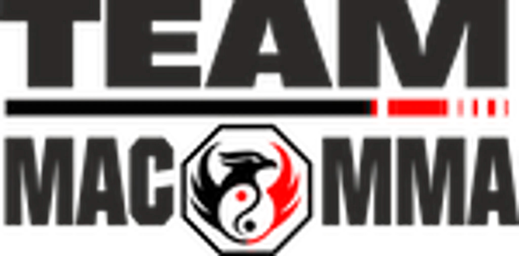 Martial Art Concepts - Dudley