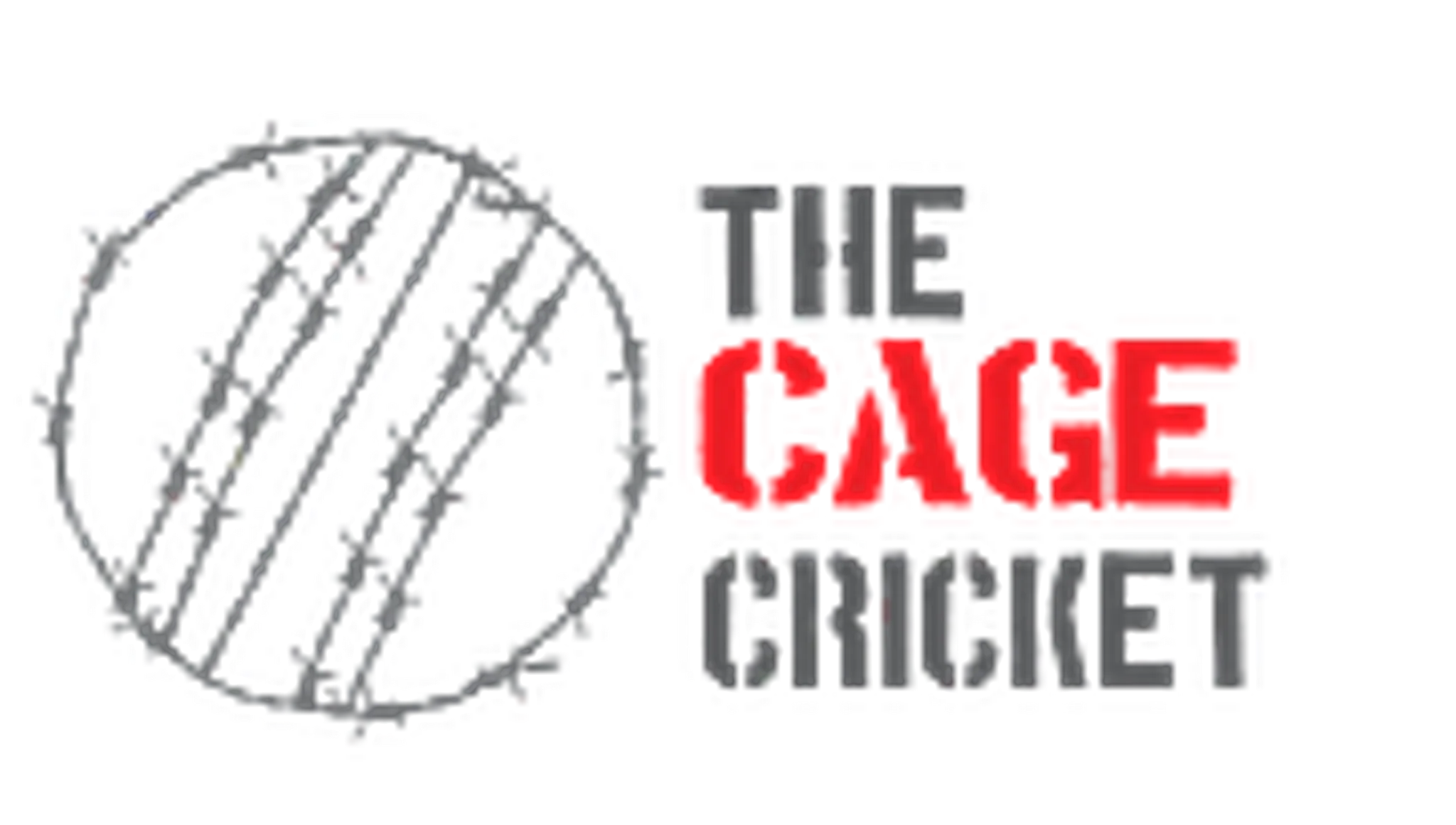The Cage Cricket NETs @ Kallang