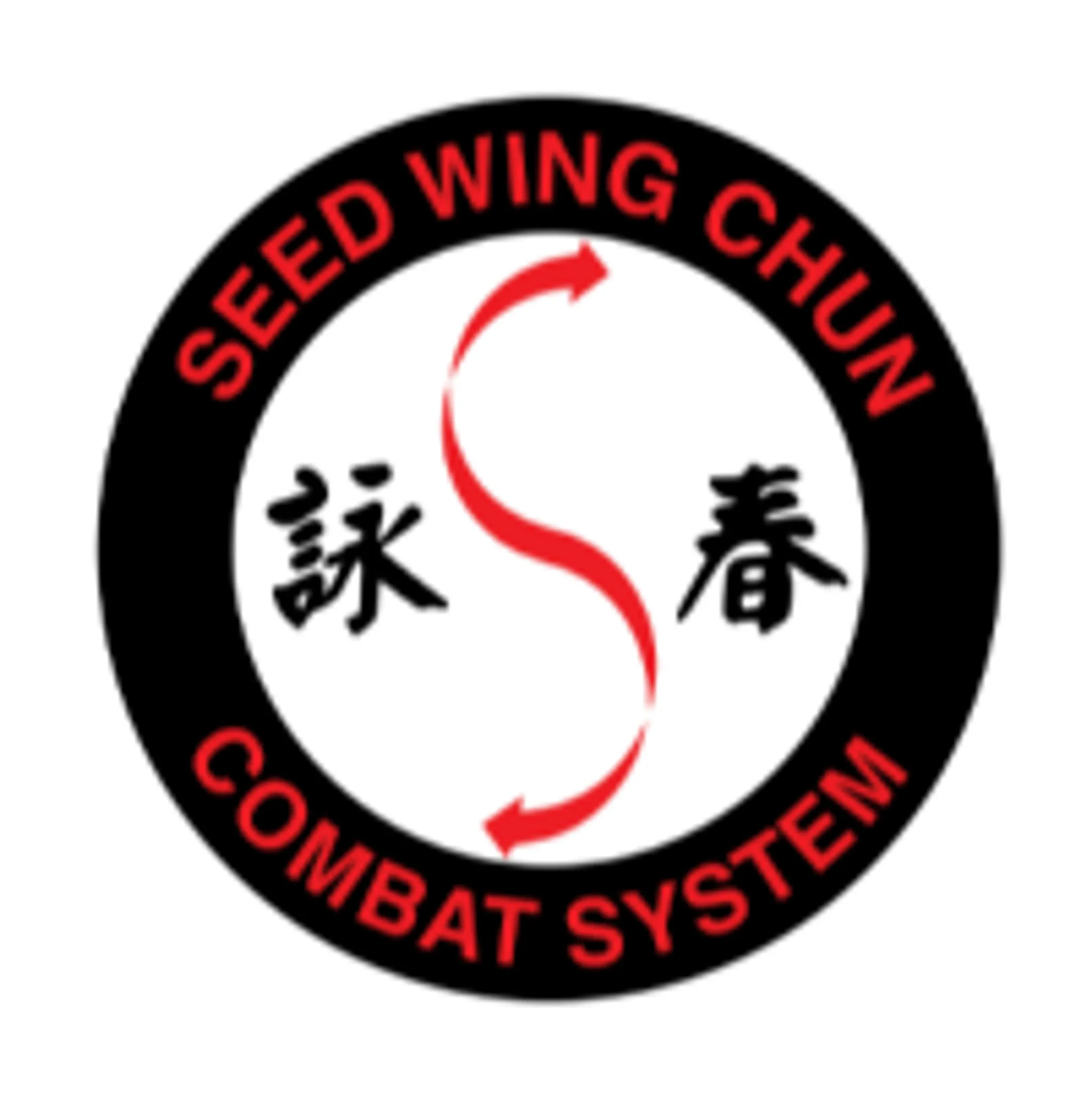 Wing Chun Kungfu