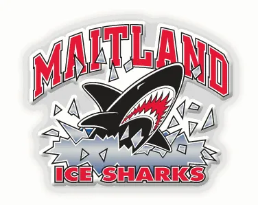 2024 Ice Sharks Spring Season