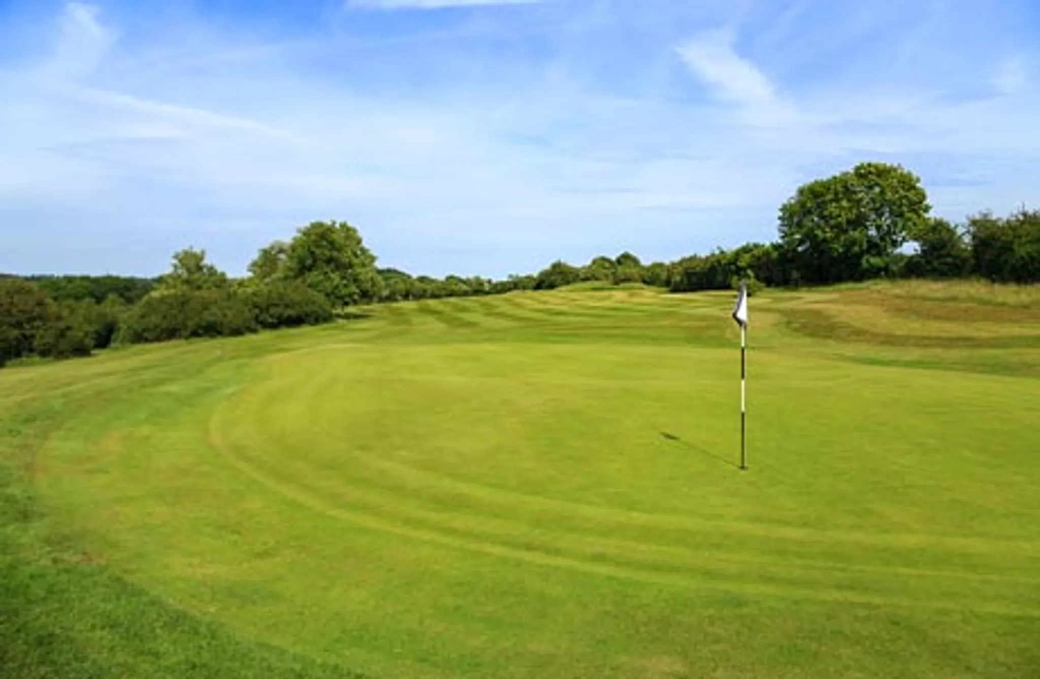 Tall Pines Golf Club