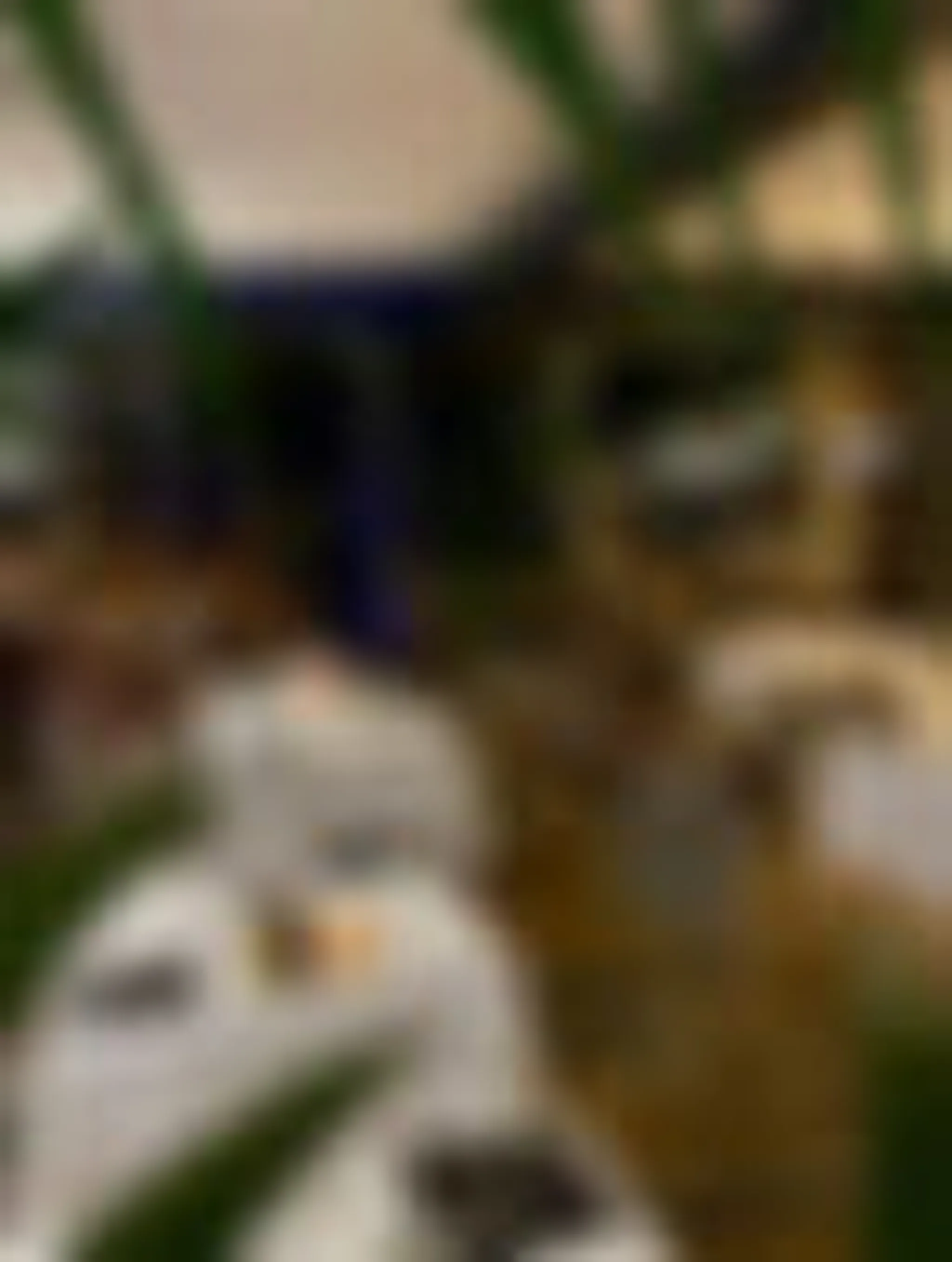 La Piscine Porticcio