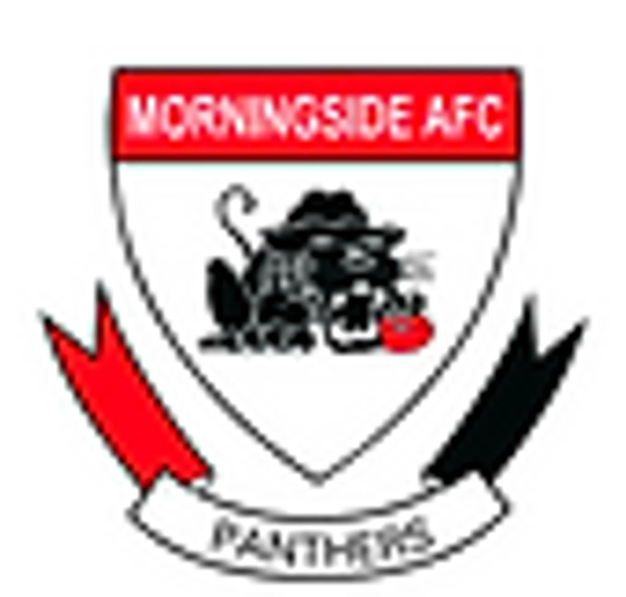 Morningside Panthers Football Club