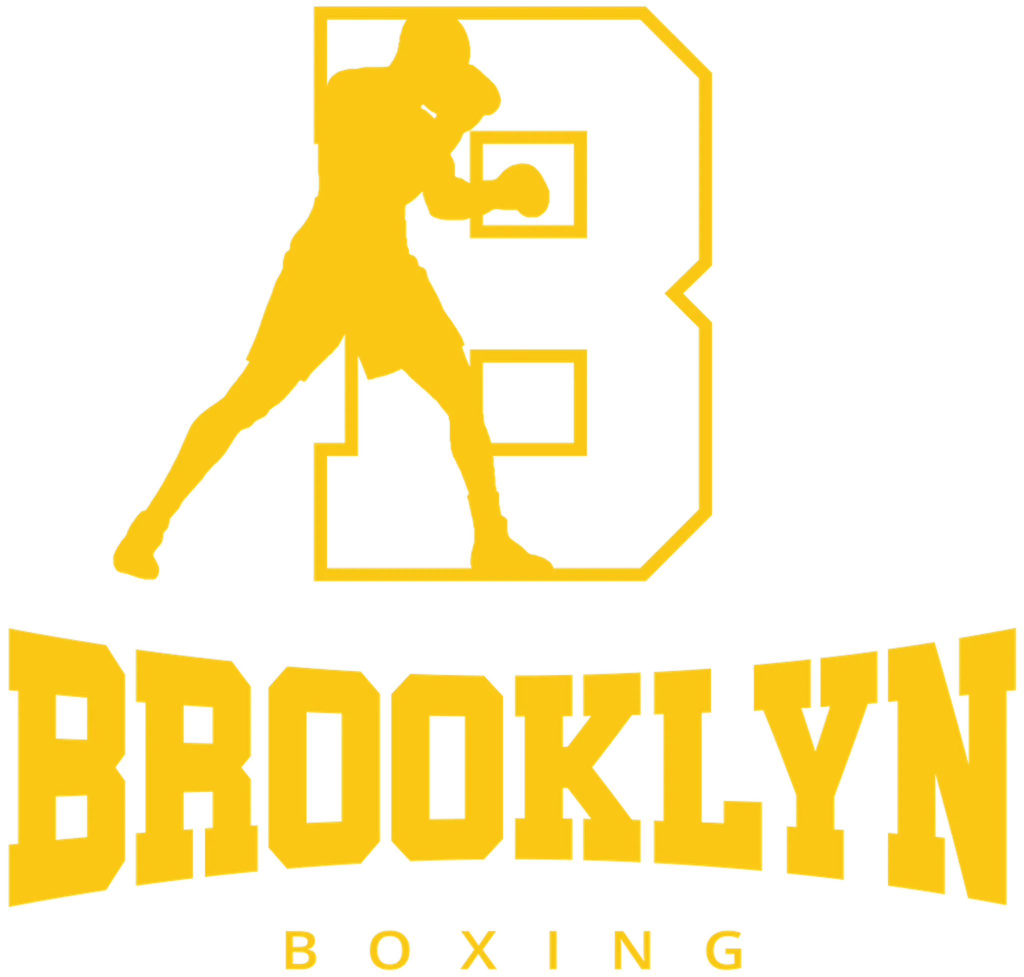 Brooklyn Boxing
