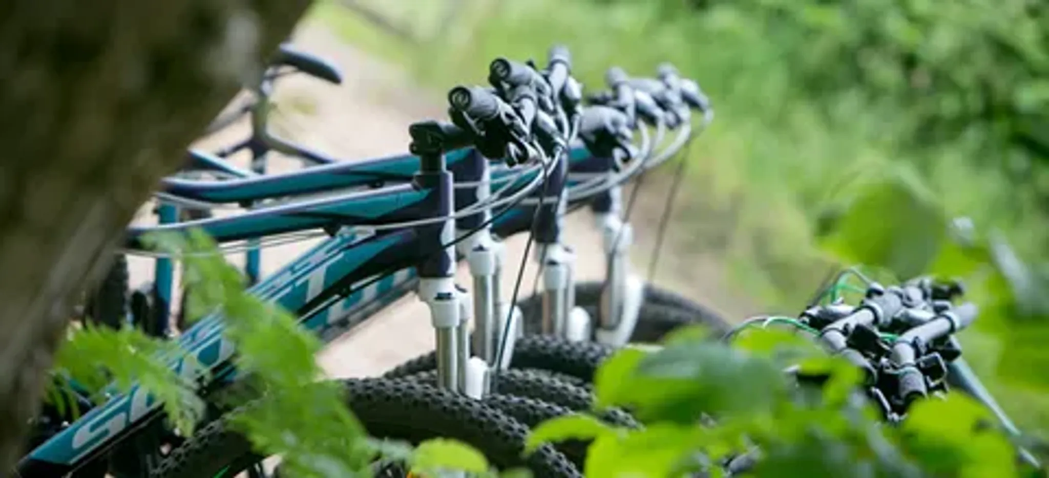 New Forest Mountain Biking