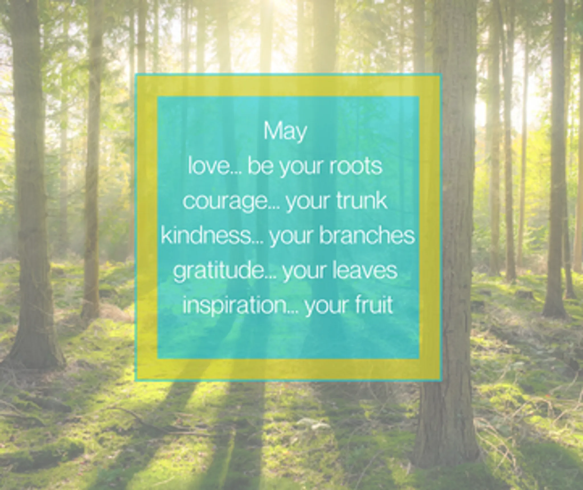 Yoga Garden Sparkes Yoga Studio