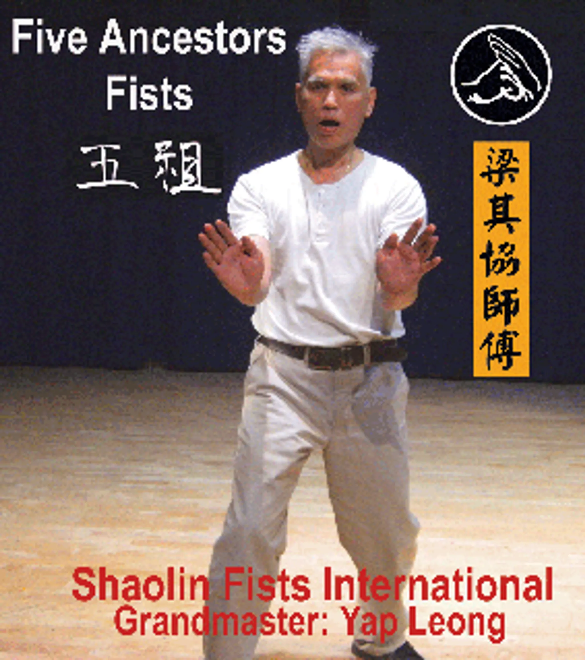 Five Ancestors & Shaolin Fists Kung Fu Classes