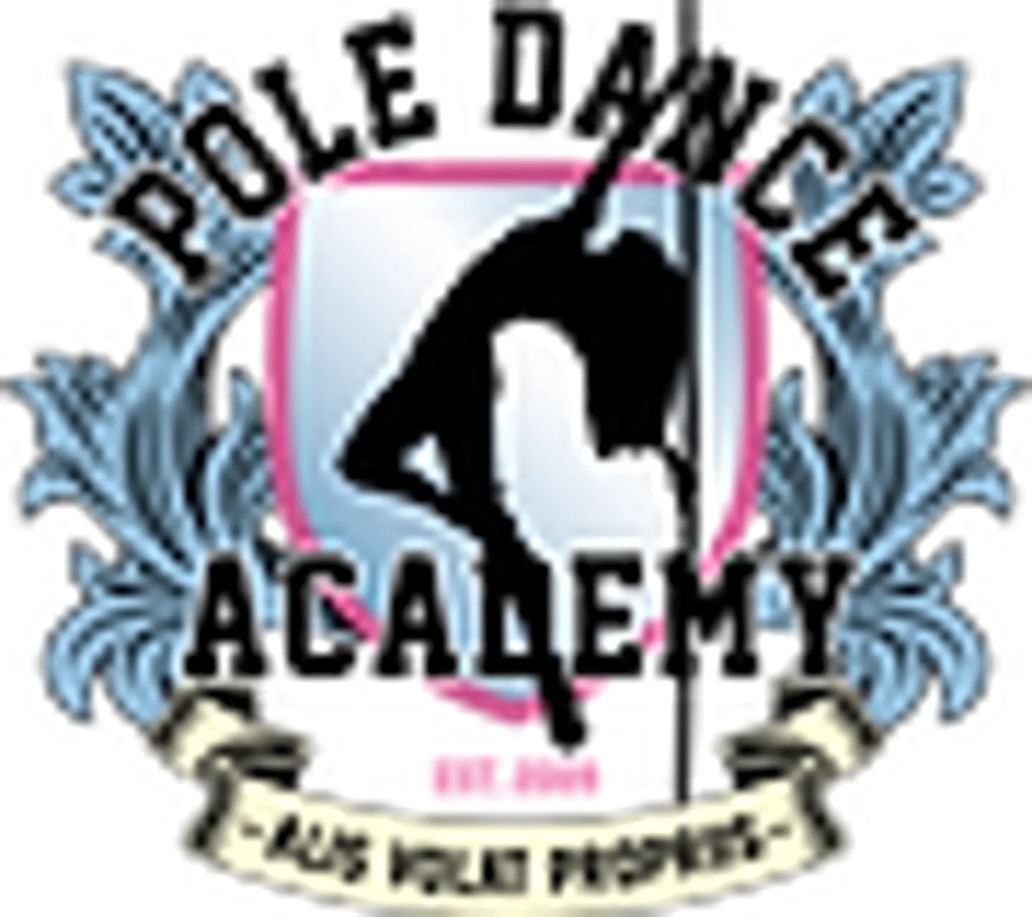 Pole Dance Academy Bondi Junction