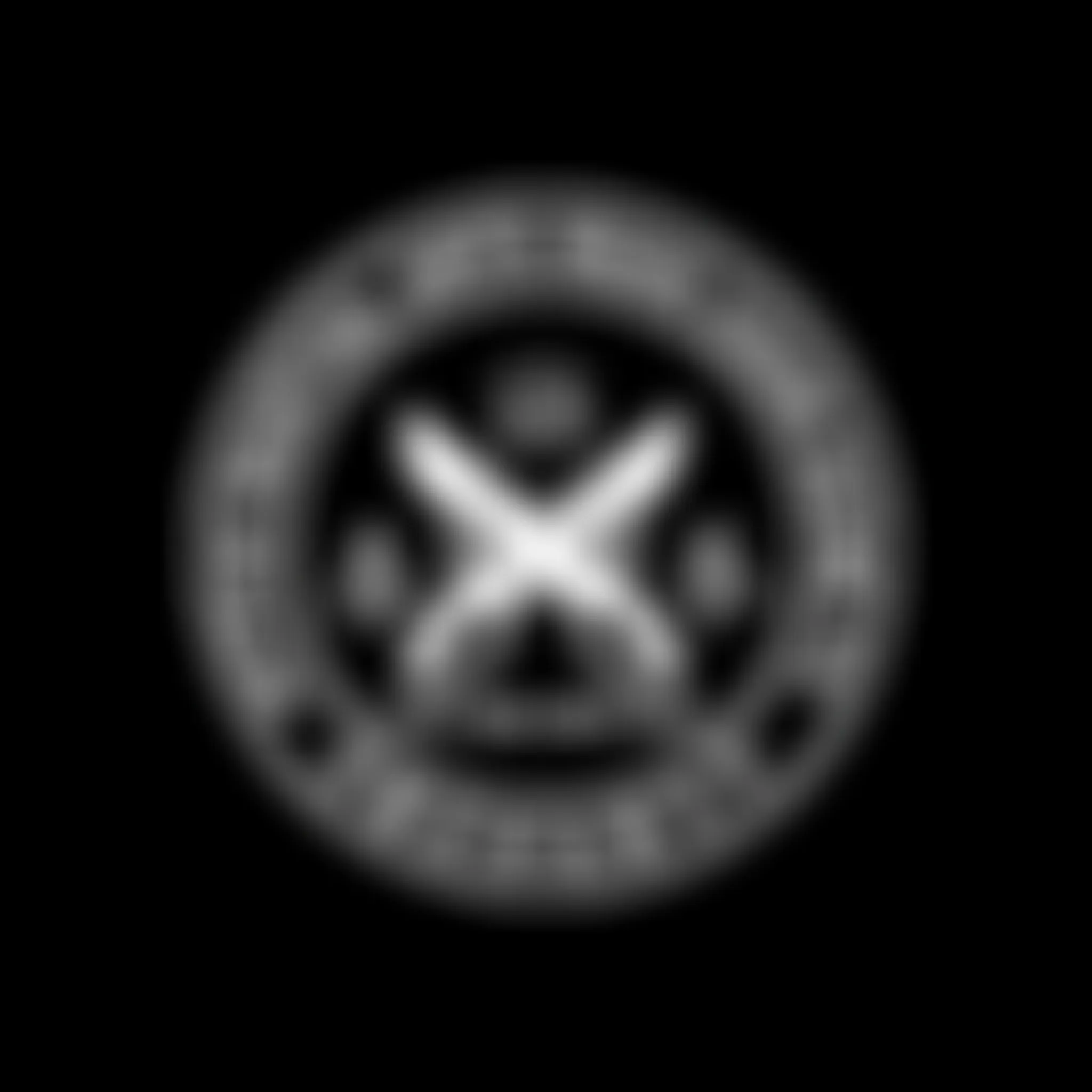 Active Martial Arts Wing Chun Kung Fu - Bexley